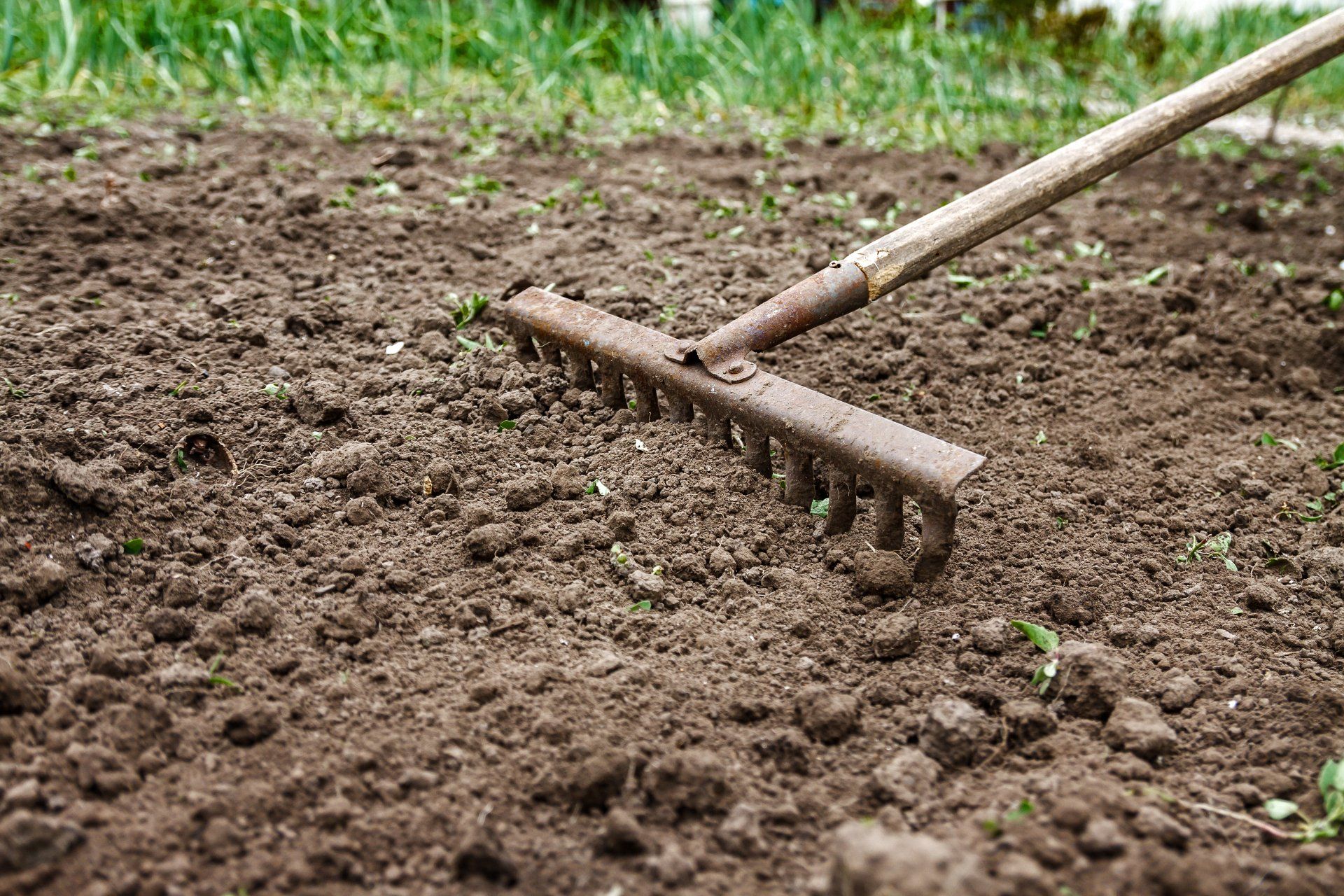 Spring landscaping Pittsburgh