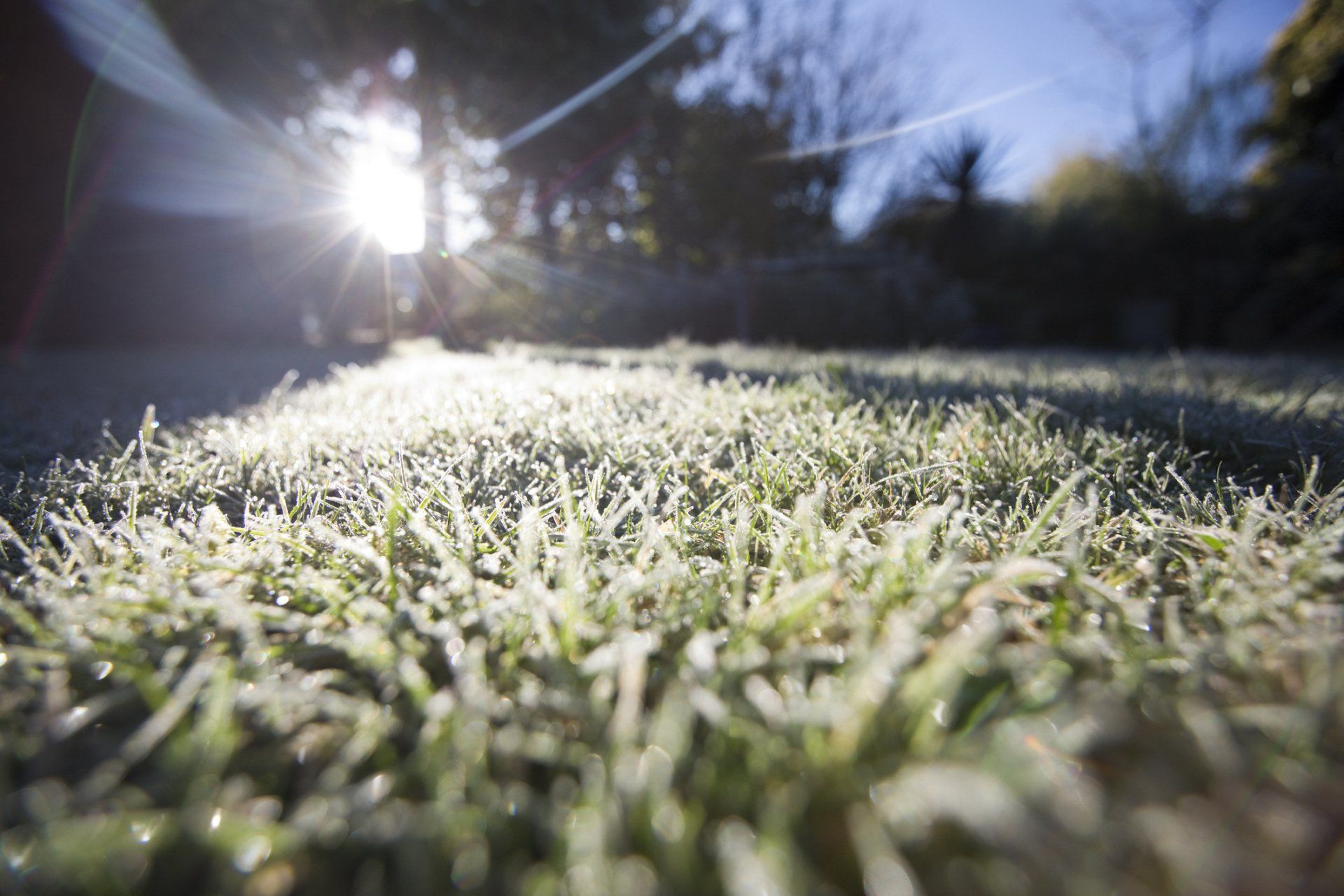 Pittsburgh Lawn During Winter 