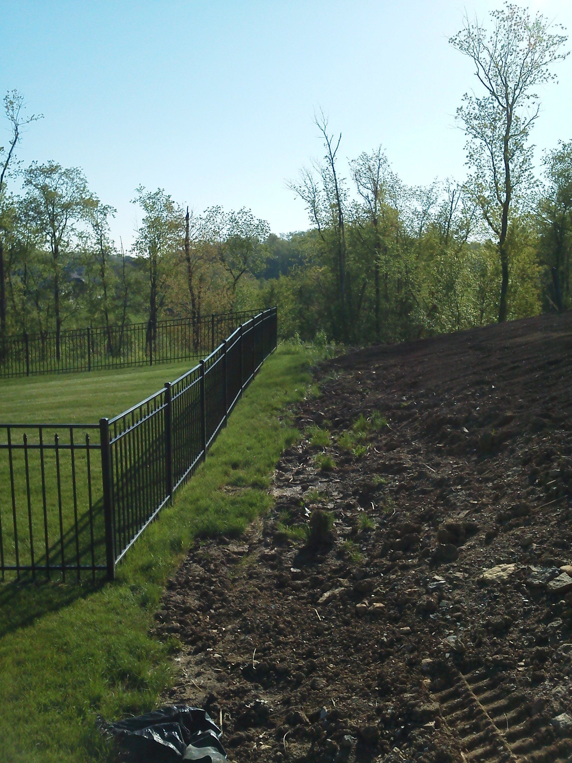 A black fence surrounds a grassy field with trees in the background