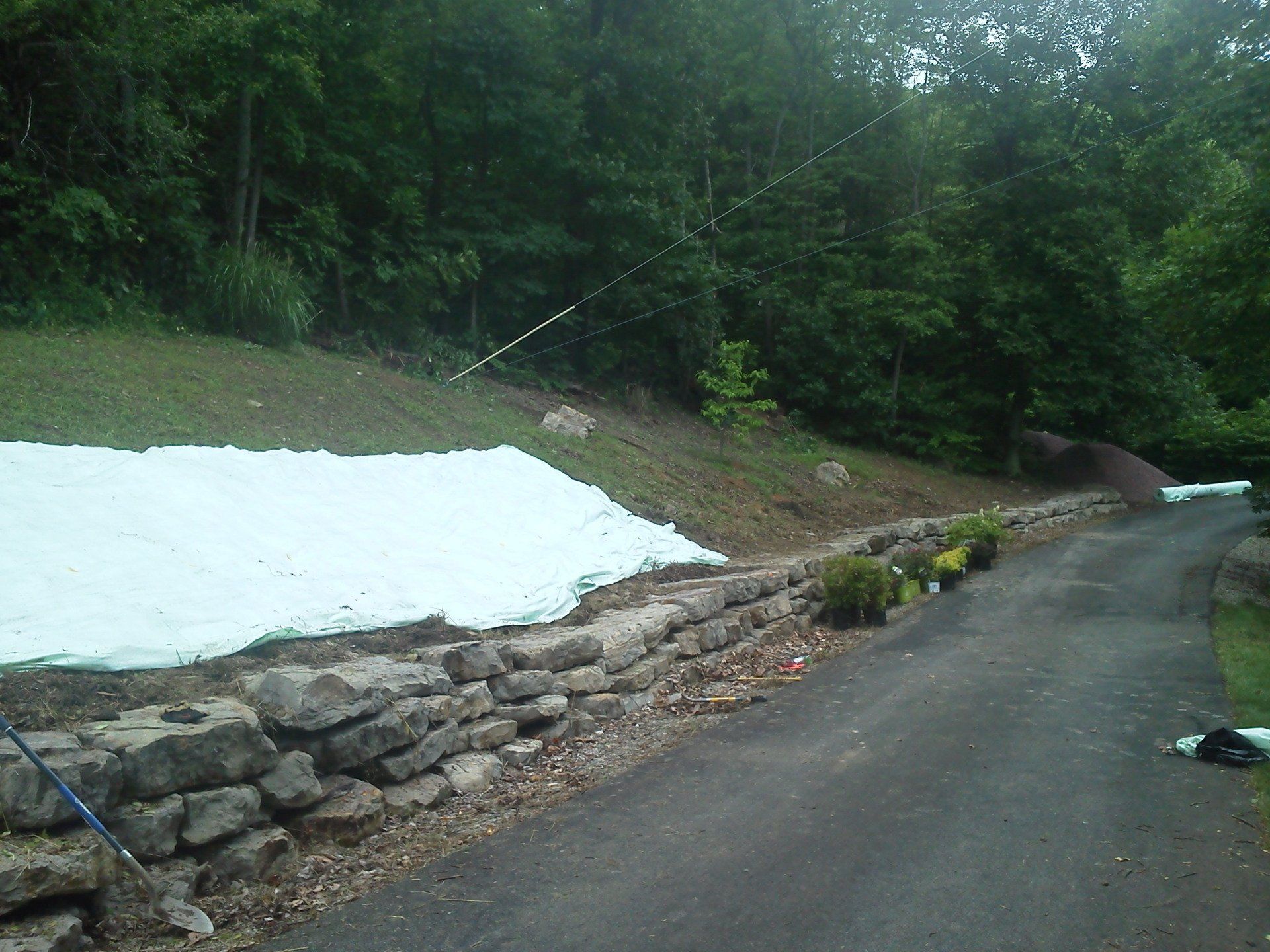 A stone wall along the side of a road surrounded by trees.