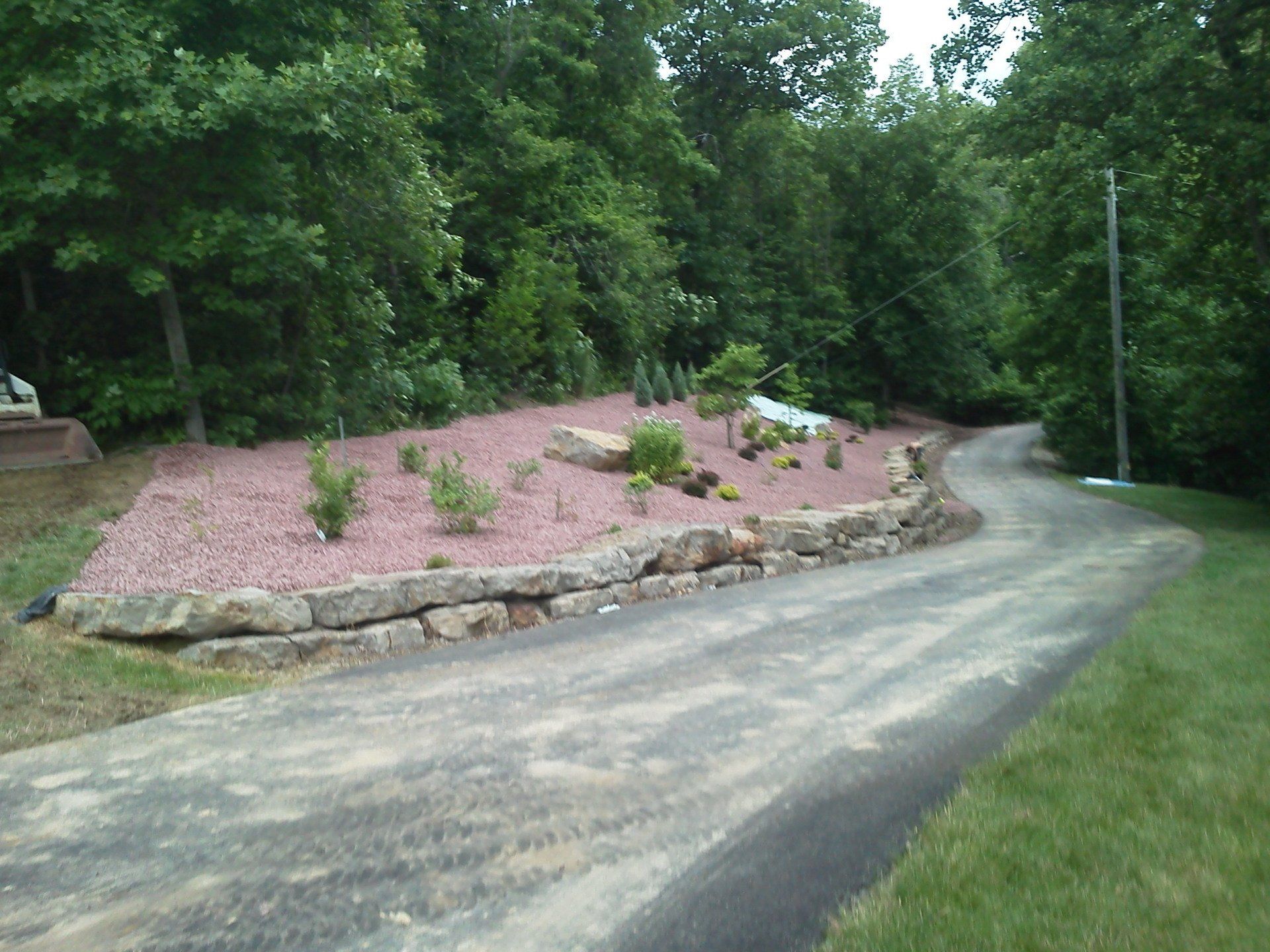 A dirt road going through a lush green forest