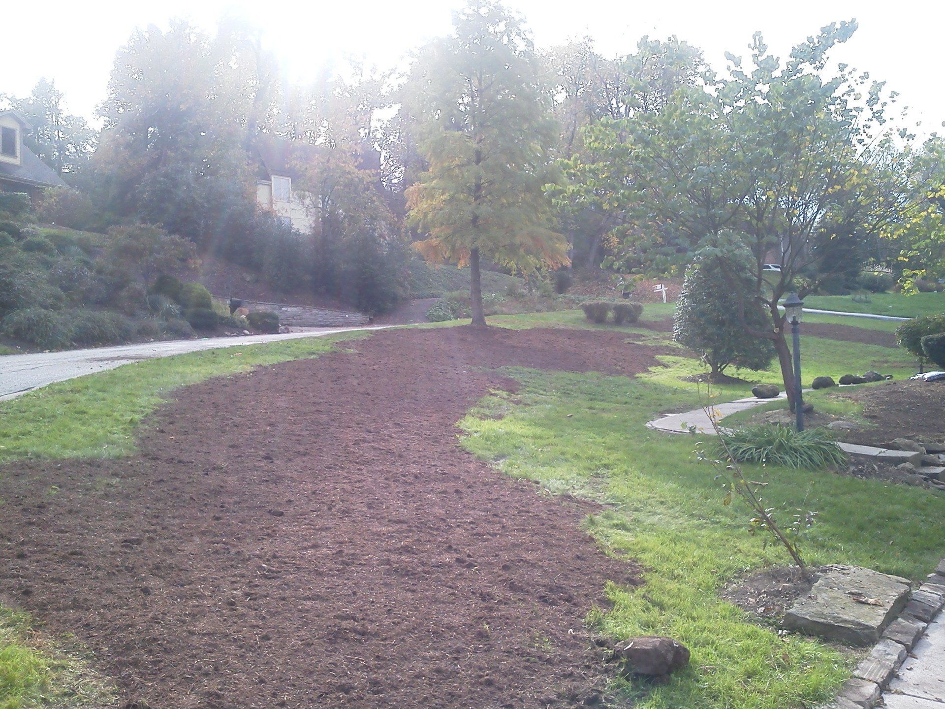 A lawn with a lot of mulch and trees in the background