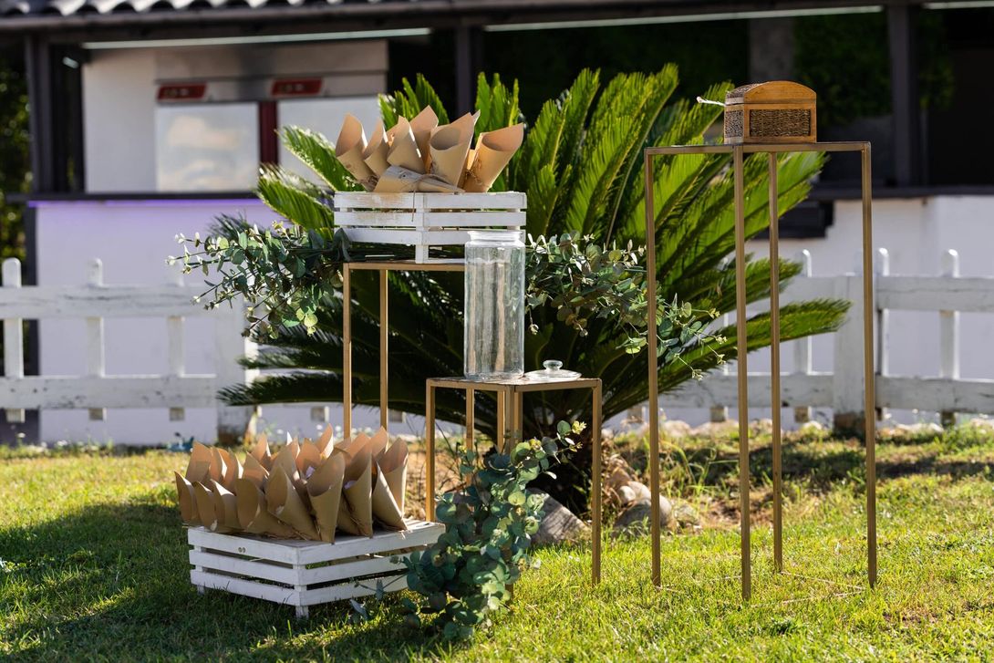 Piante decorative in vaso esposte su supporti di legno a più livelli in un cortile soleggiato.