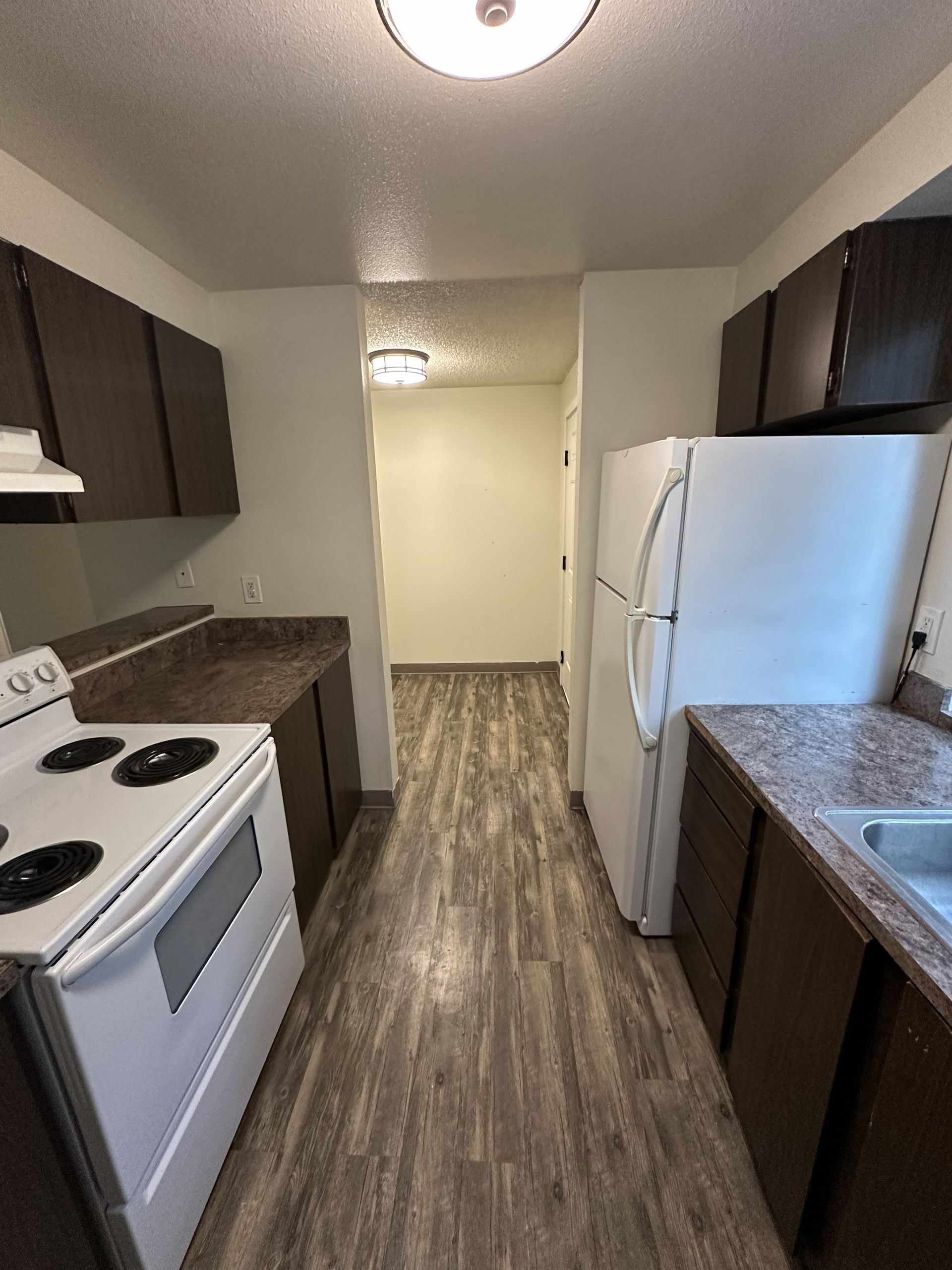 Elmwood Village indoor photograph