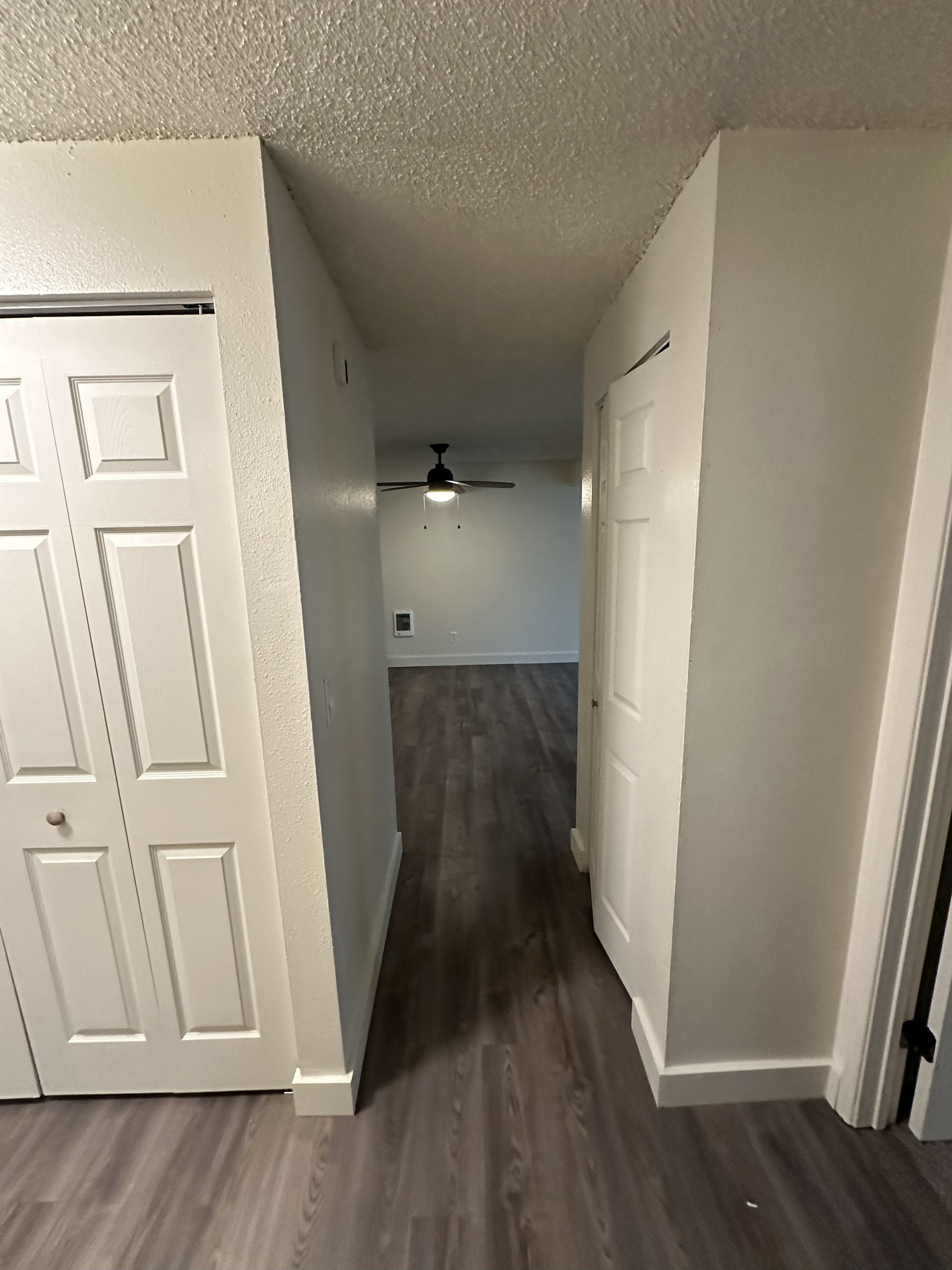 Elmwood Village indoor hallway photograph
