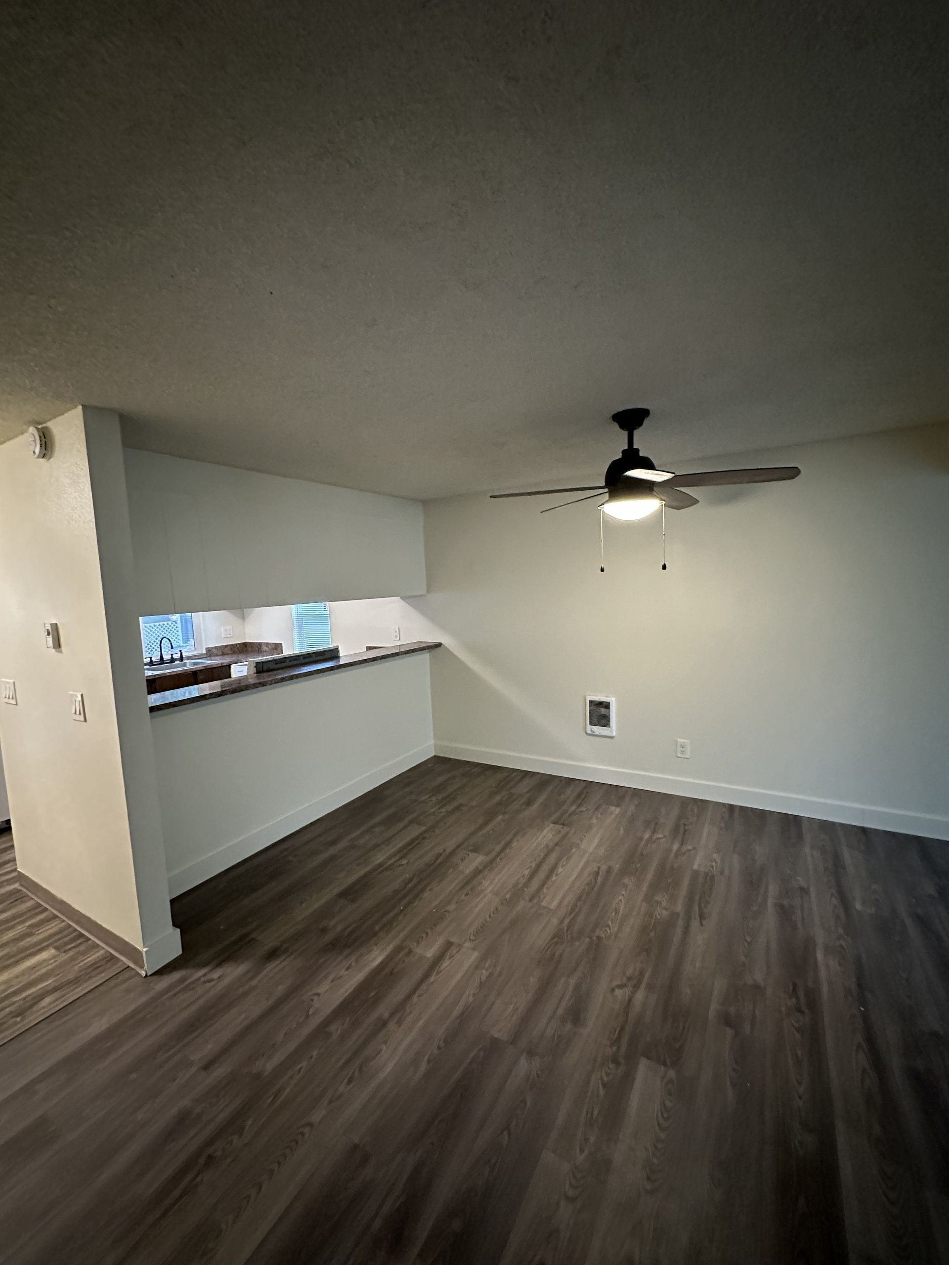 Elmwood Village indoor photograph