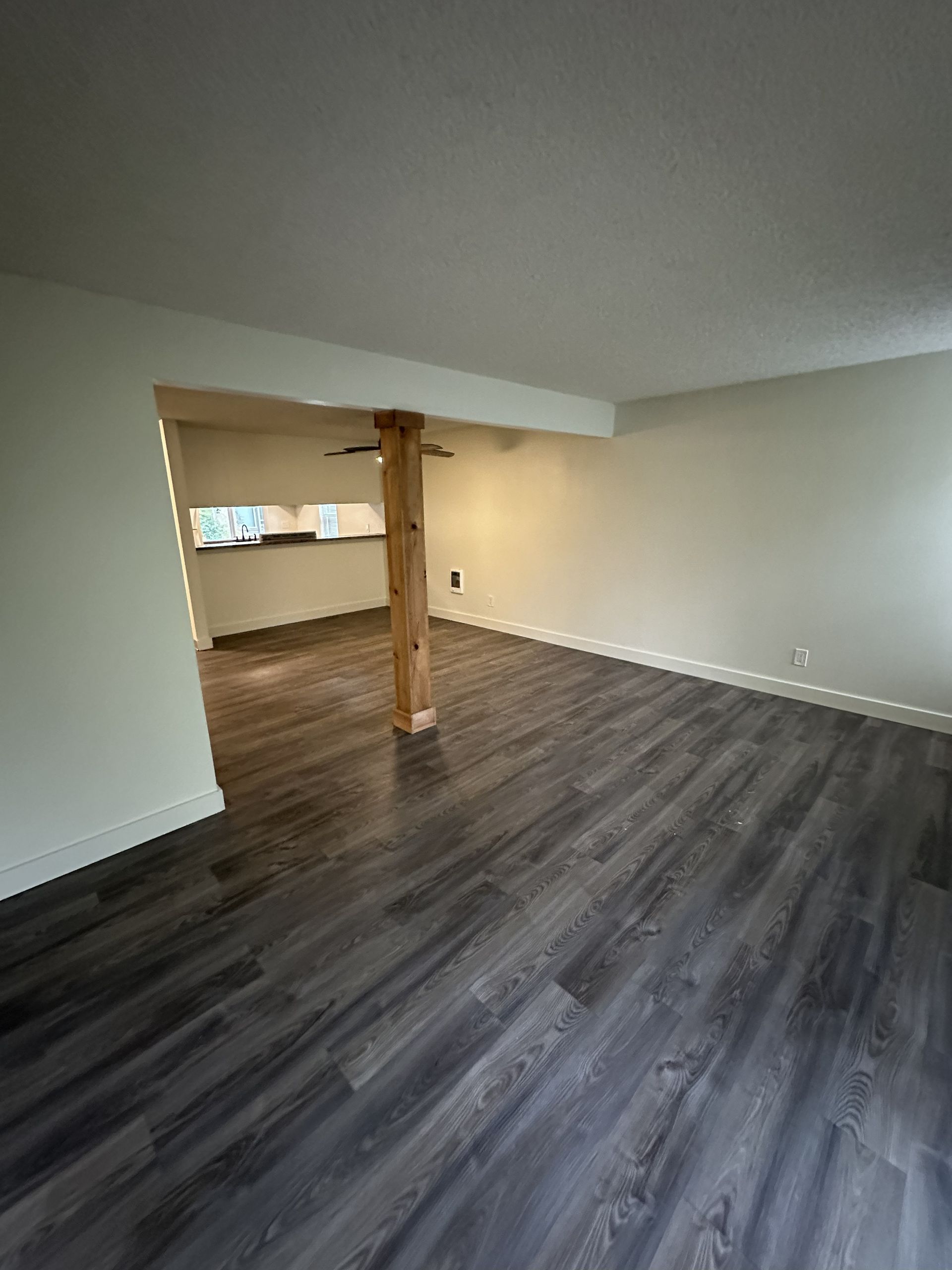 Elmwood Village indoor photograph