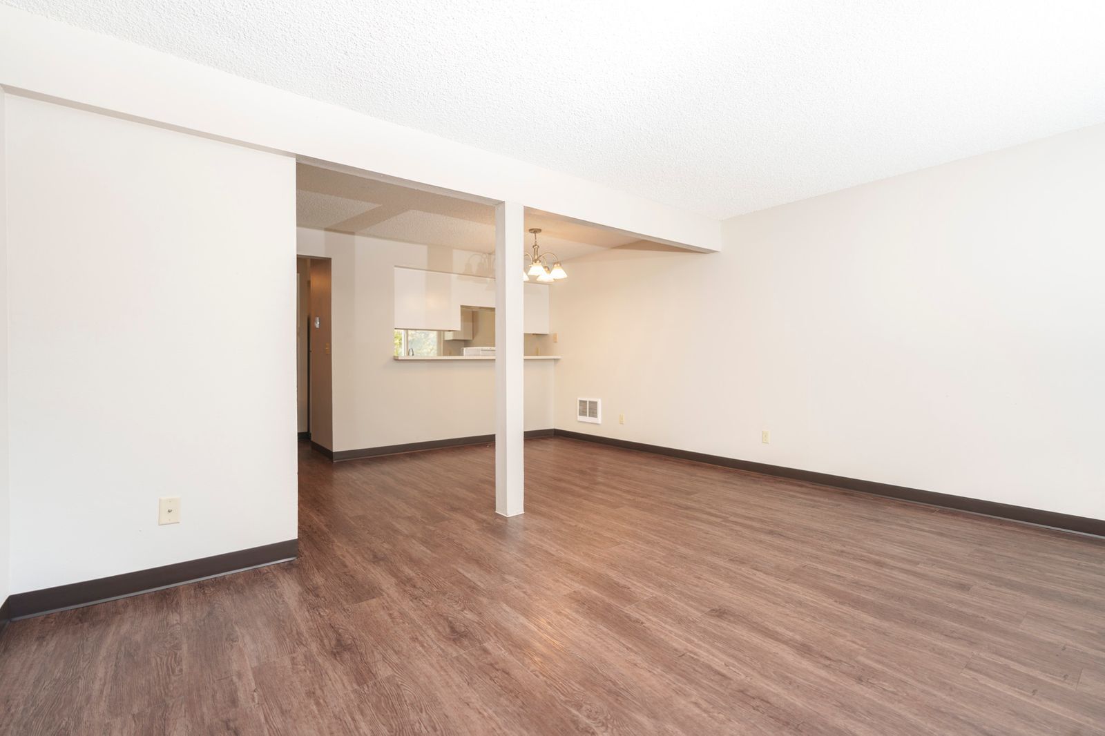 Elmwood Village indoor photograph