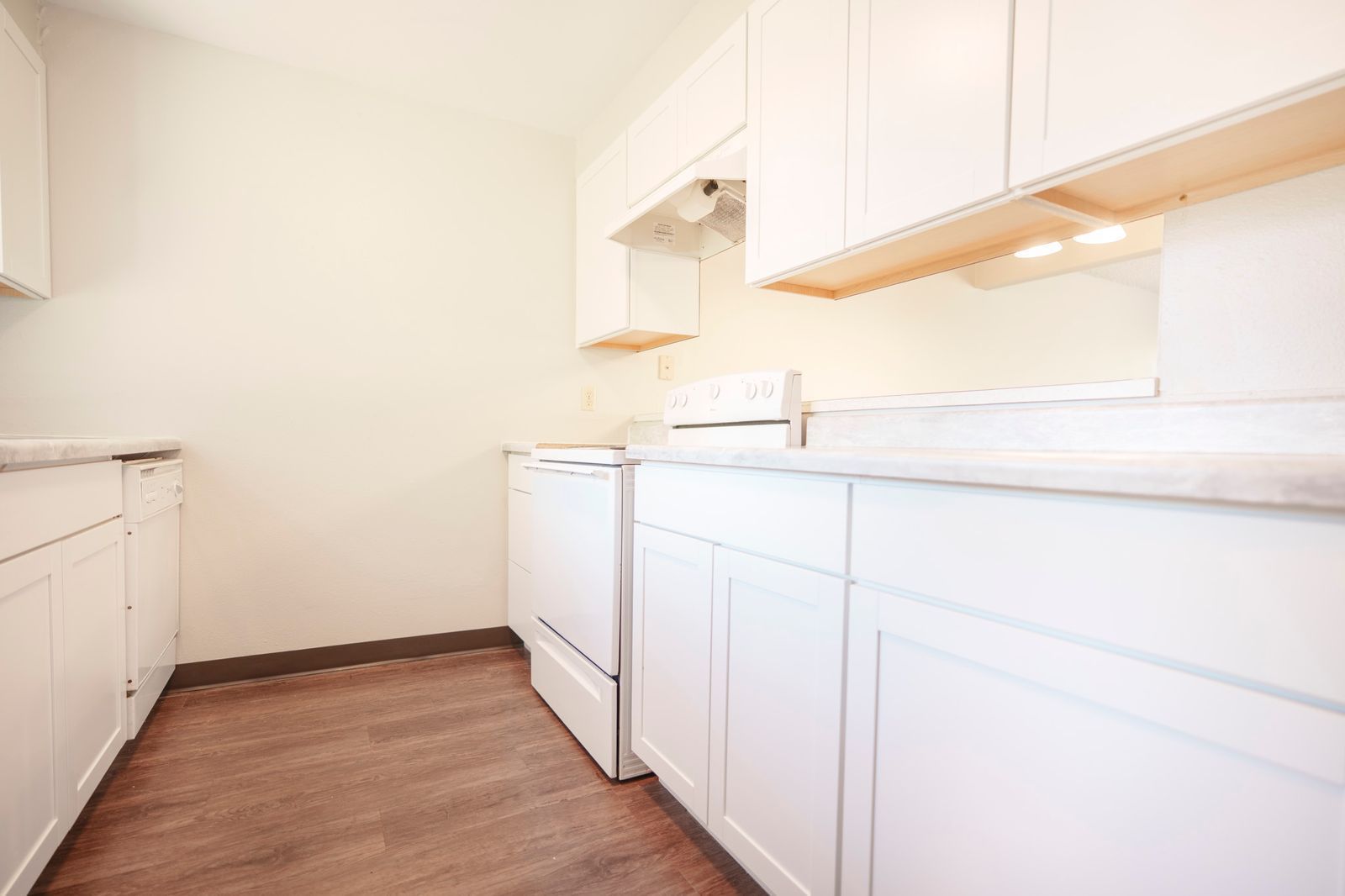 Elmwood Village indoor photograph