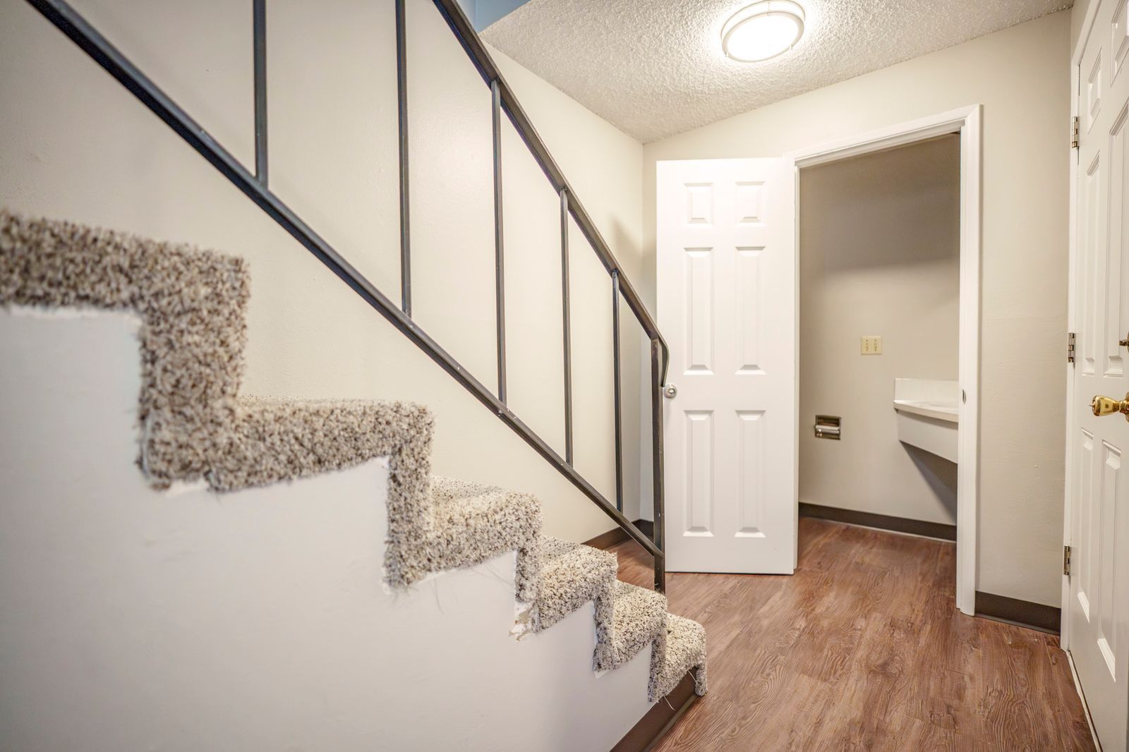 Elmwood Village indoor photograph