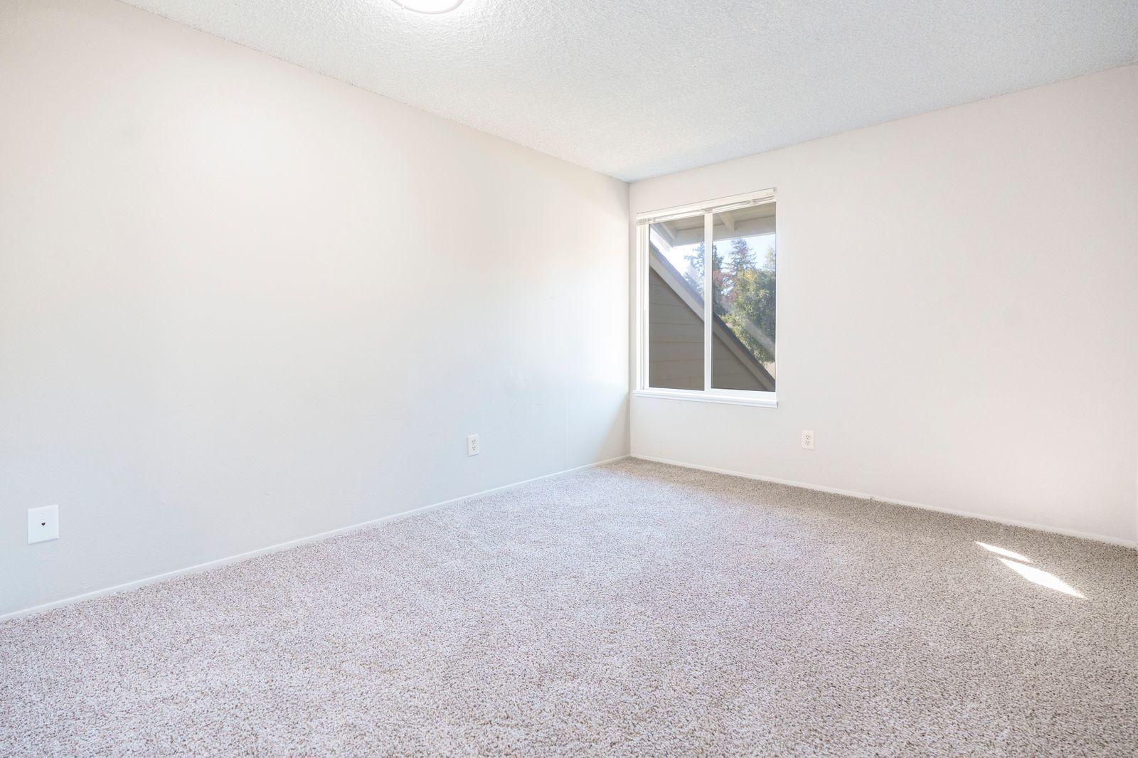Elmwood Village indoor bedroom photograph