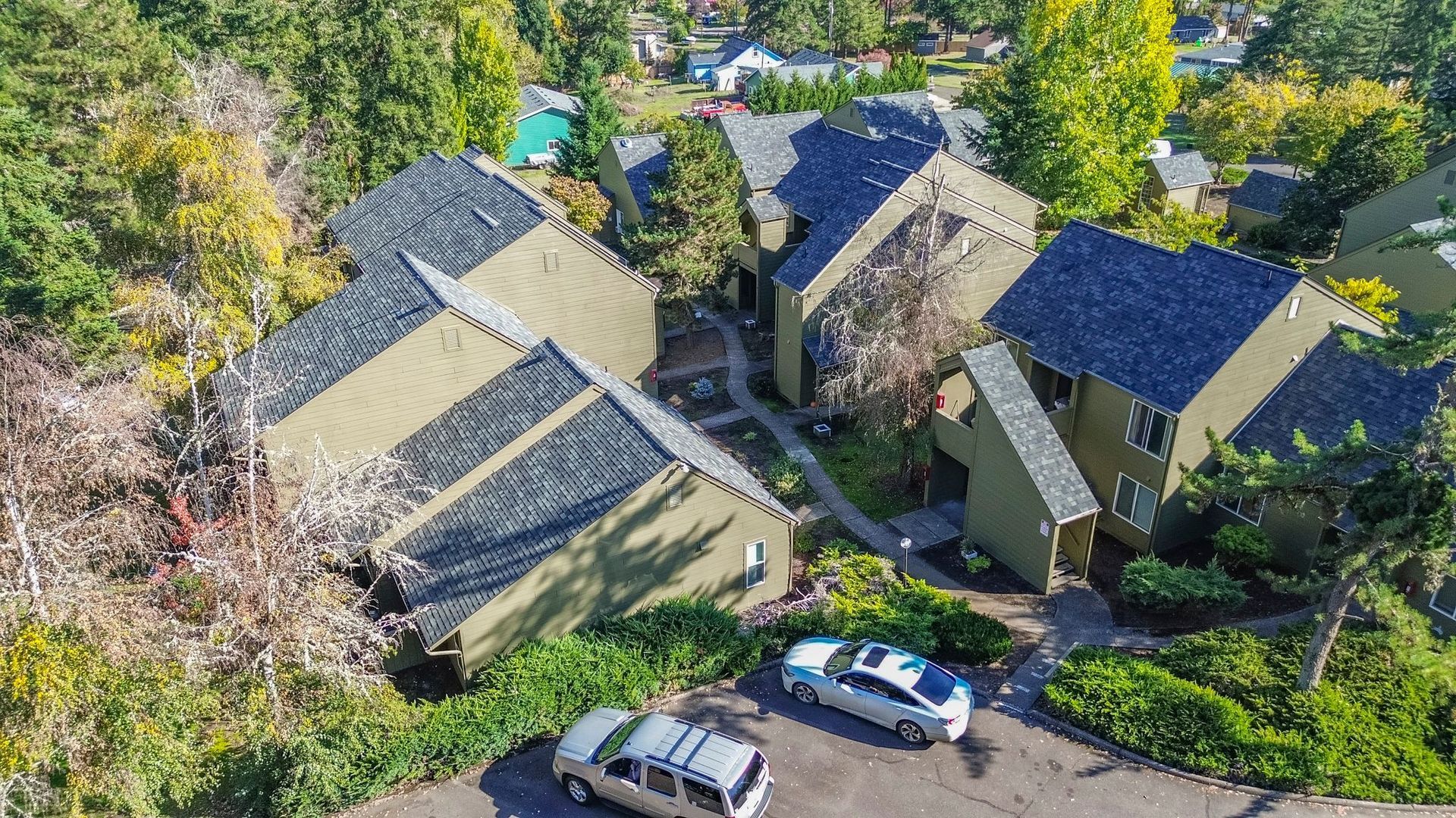 Elmwood Village aerial photograph
