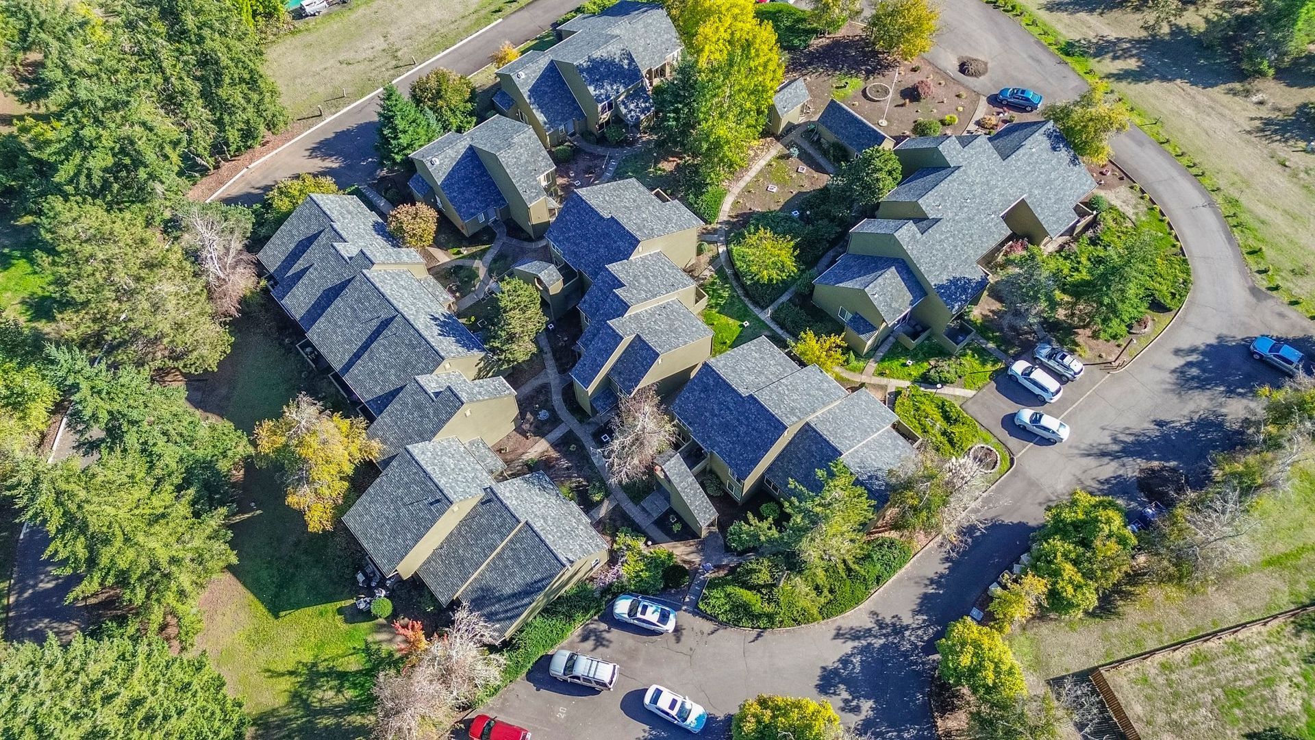 Elmwood Village aerial photograph