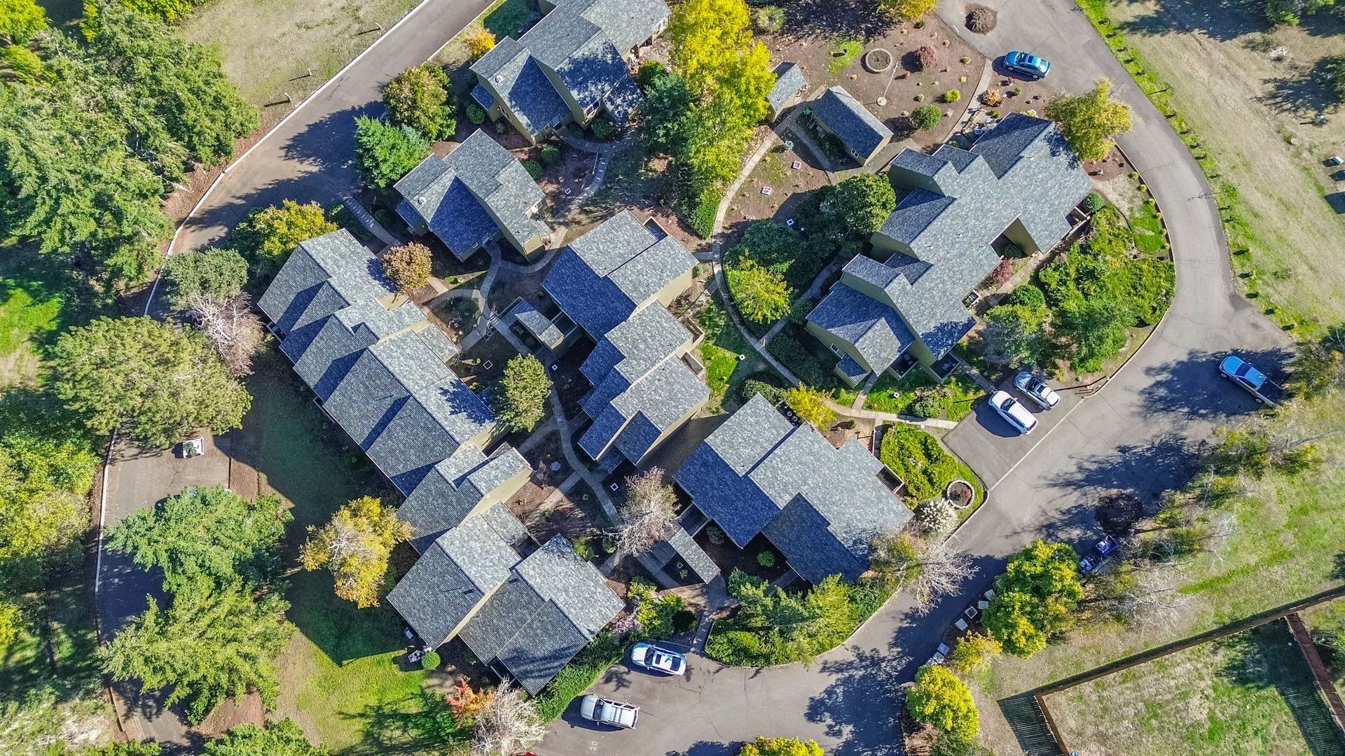 Elmwood Village aerial photograph