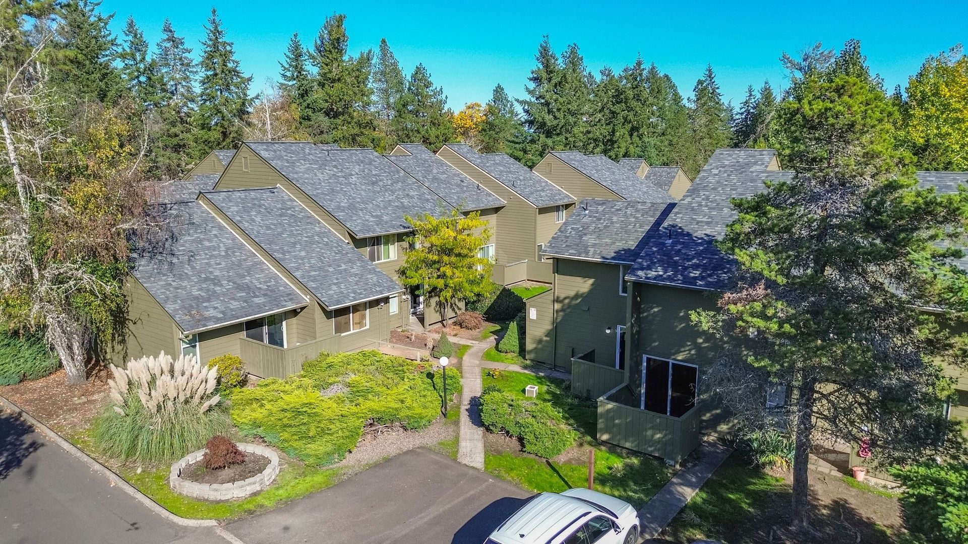 Elmwood Village aerial photograph