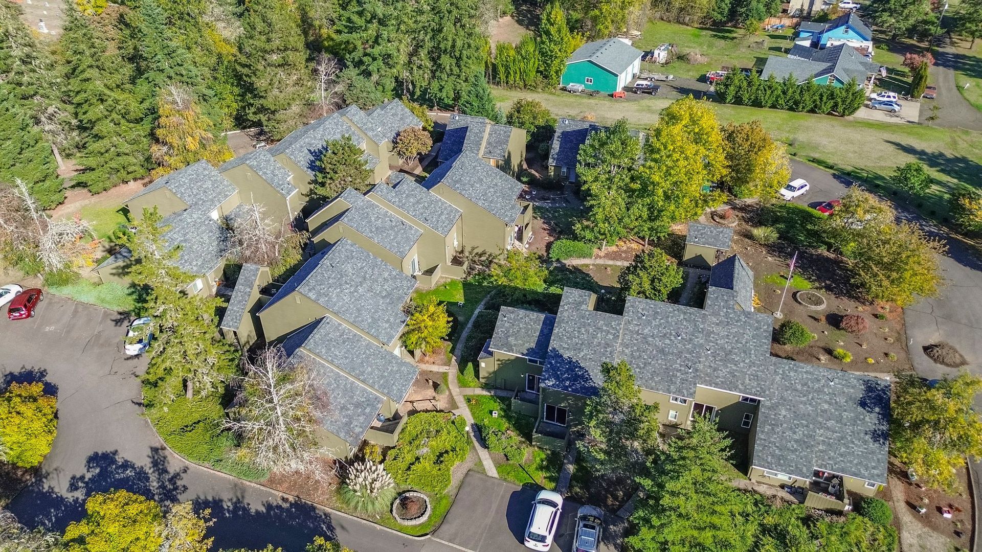 Elmwood Village aerial photograph