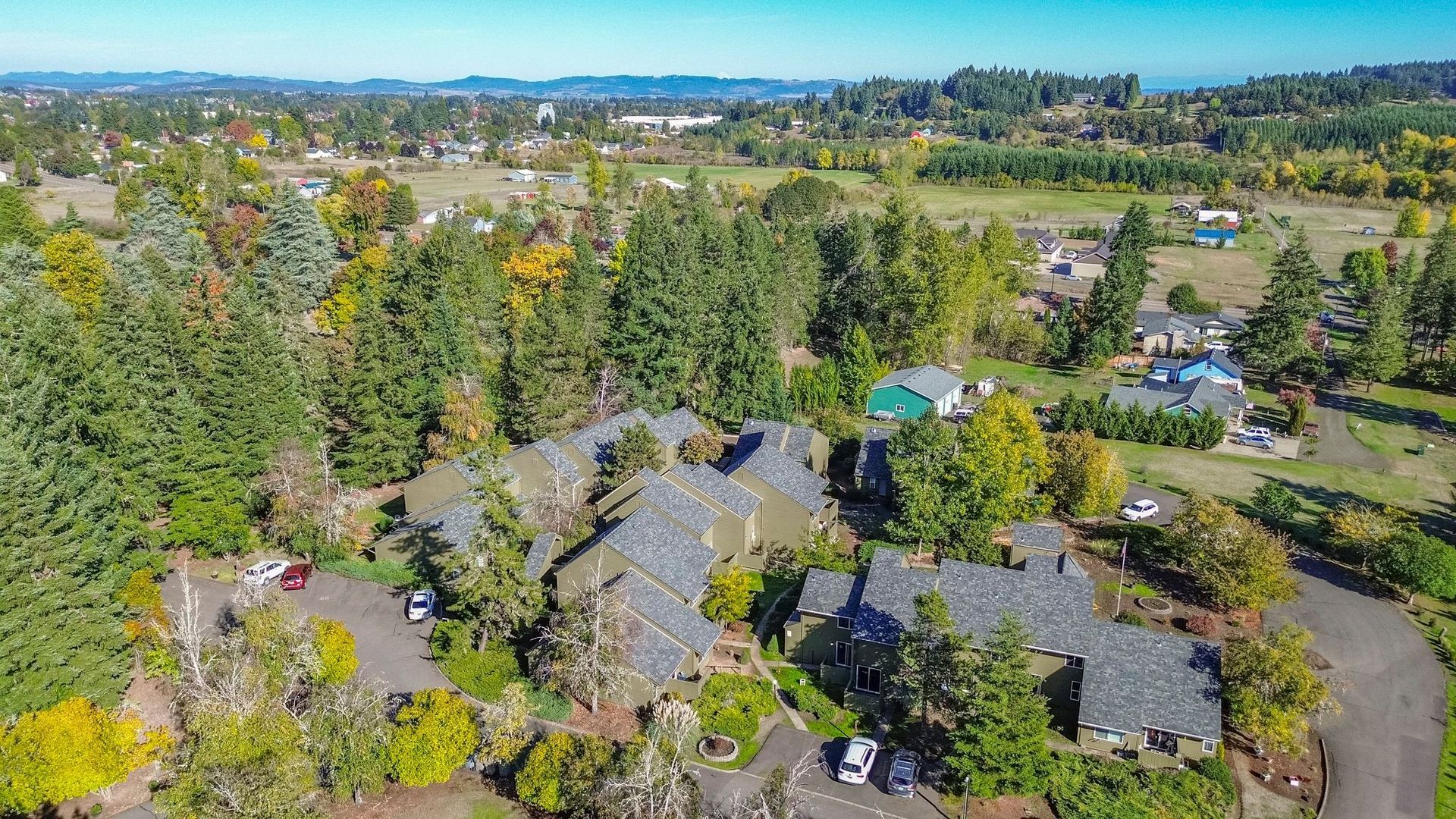 Elmwood Village aerial photograph