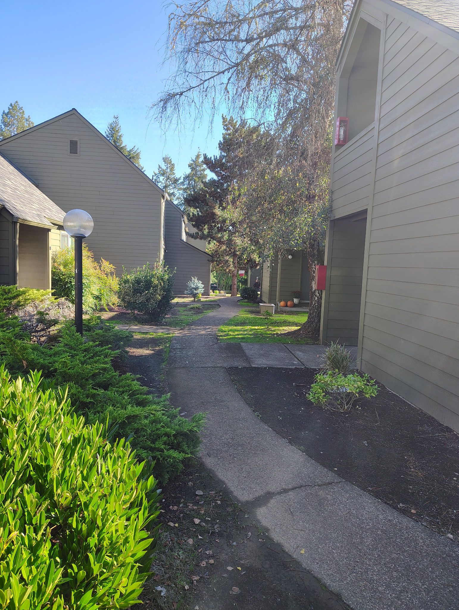 Elmwood Village outdoor photograph