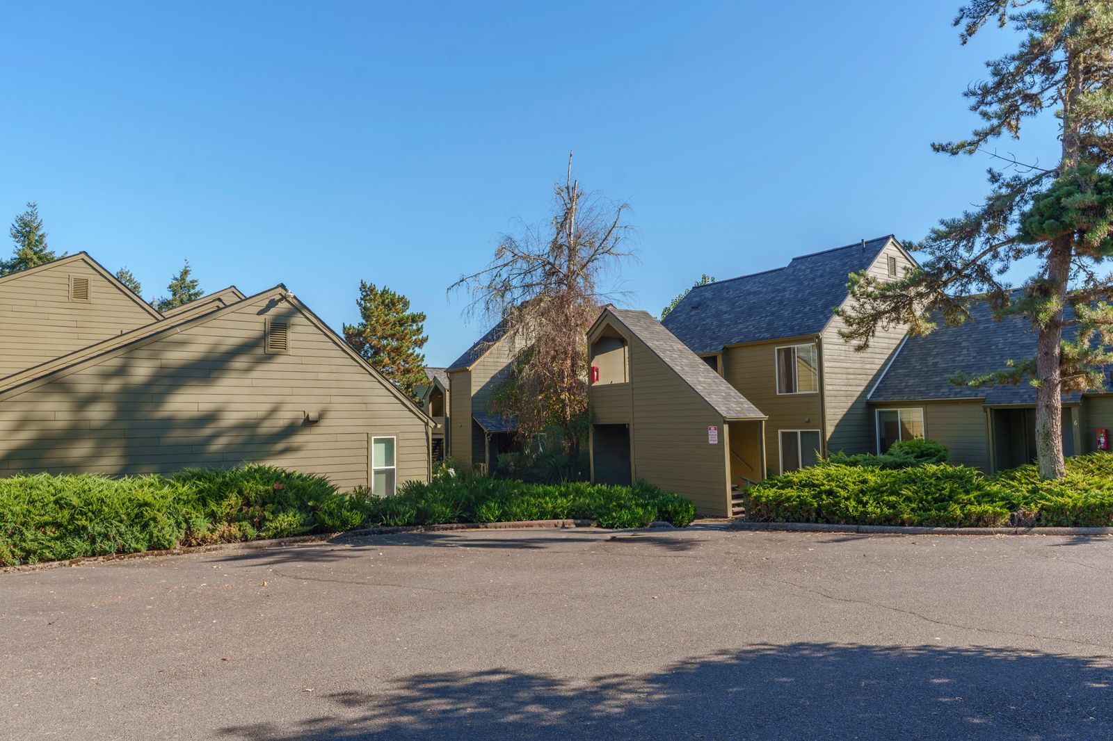 Elmwood Village outdoor photograph