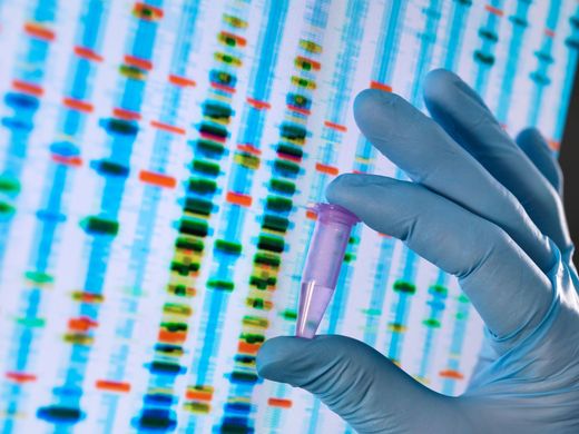 Gloved hand holding a test tube in front of colorful DNA gel bands