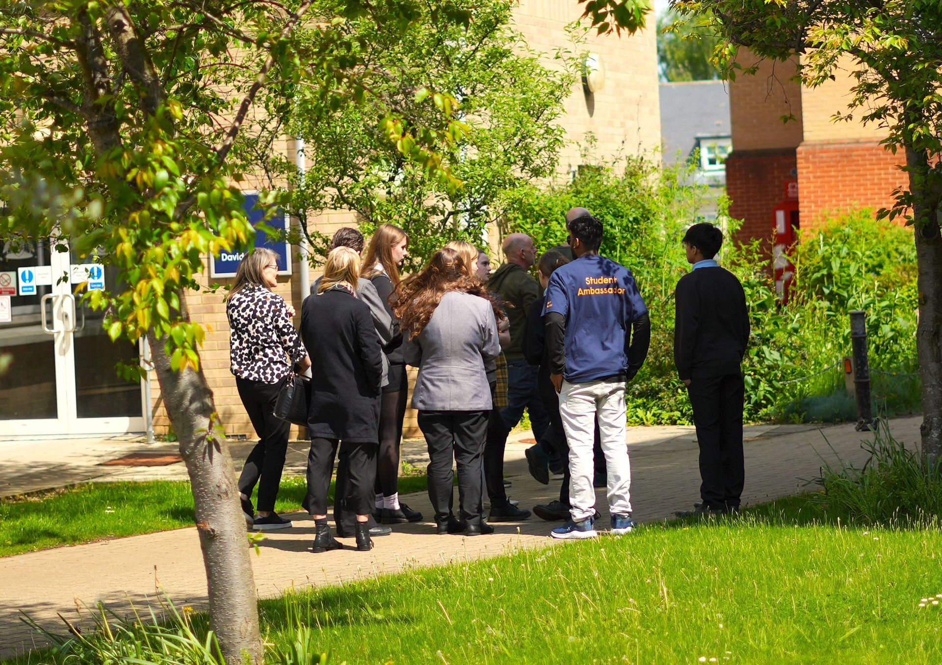People standing in a sunny park near a building, seen from behind.