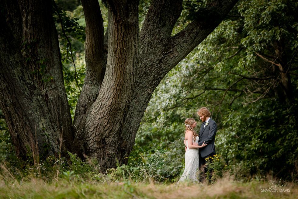 Couple embracing beside a large tree in a lush green forest clearing