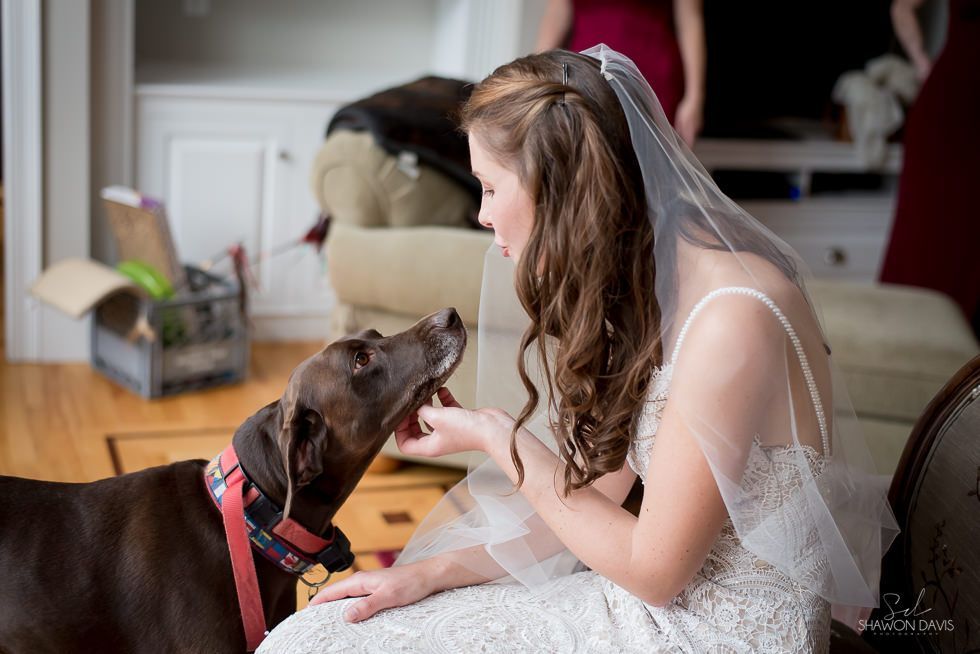 Bride in white dress and veil kneels to pet a brown dog indoors on hardwood floor
