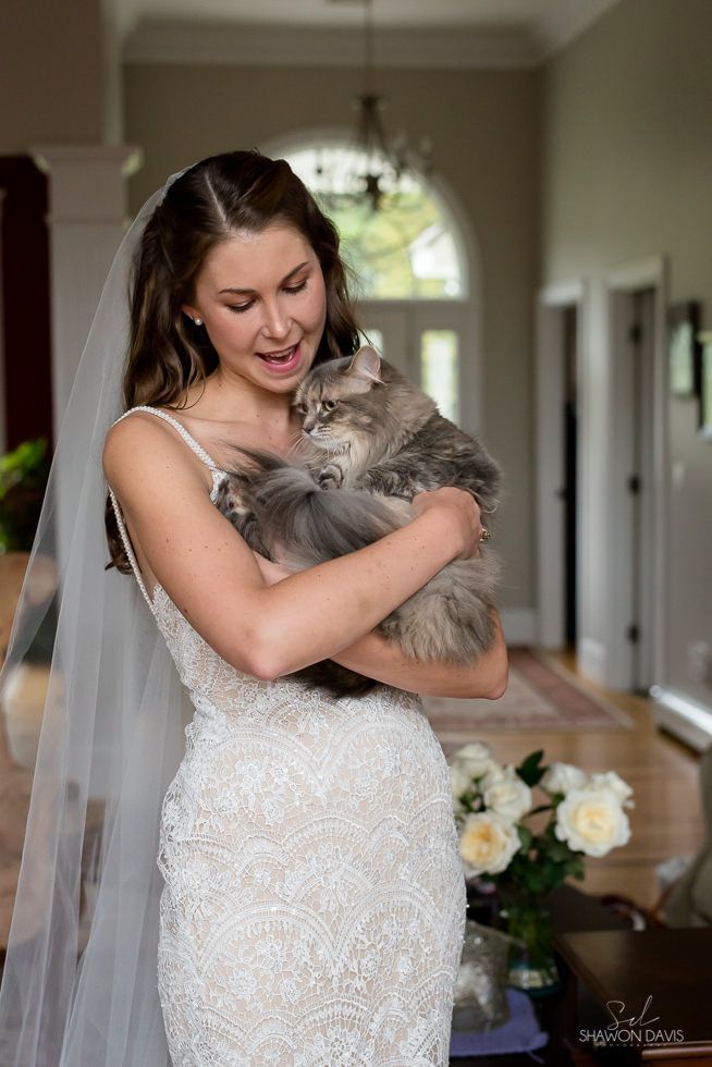 Bride in white lace gown holding a fluffy gray cat indoors, smiling near a hallway with flowers.