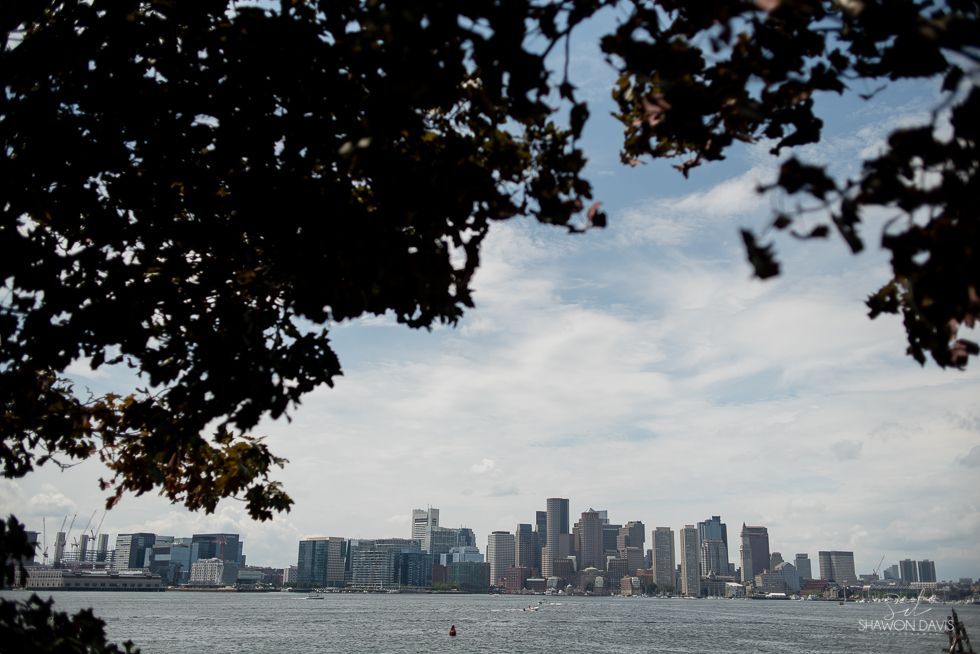 City skyline across a bay, framed by dark tree branches under a cloudy sky