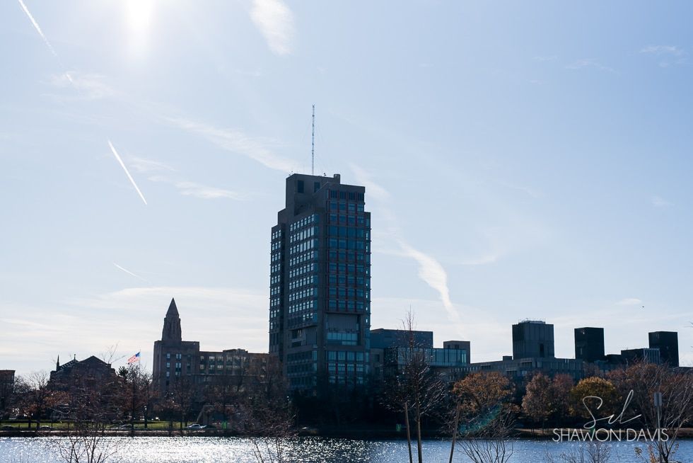 City skyline with a tall glass tower by a waterfront under a bright blue sky