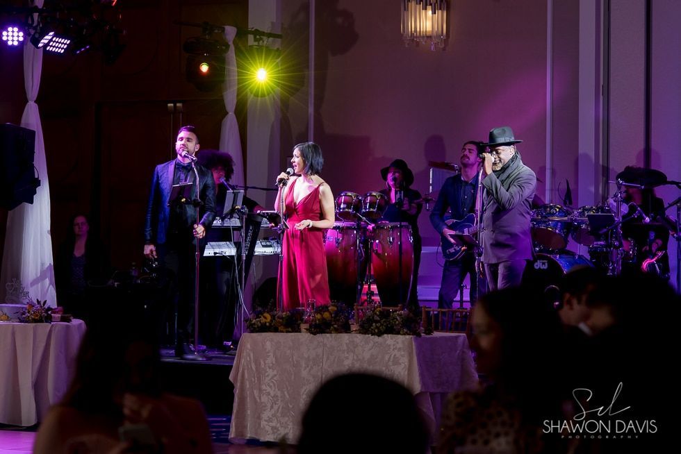 Live band performing on an indoor stage under purple lighting, with a singer in a bright pink dress centered.