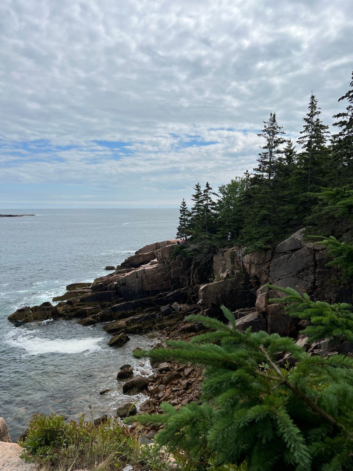 Rocky coastline with evergreen trees under a cloudy sky, waves lapping at the shore.