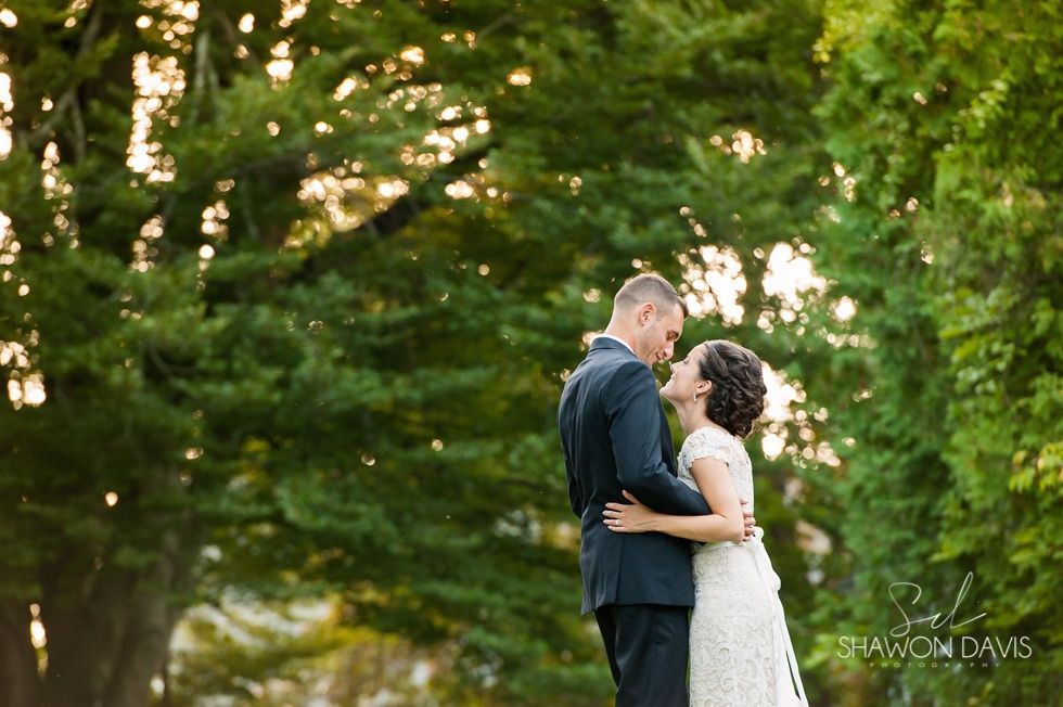 Couple embracing outdoors amid green trees, with soft sunlight in the background