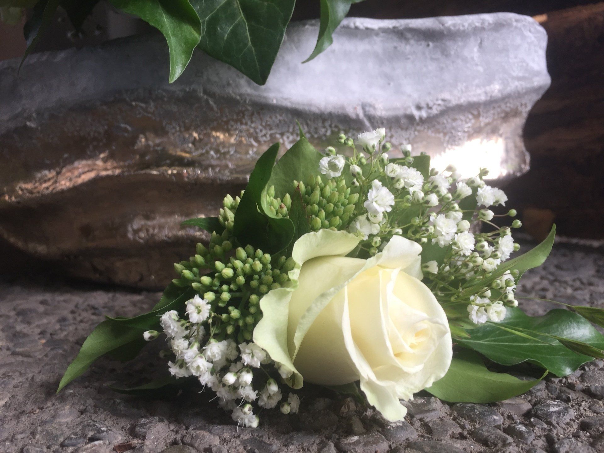 Hochzeitskalanchoen