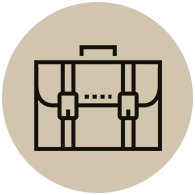 Hand Bag Icon
