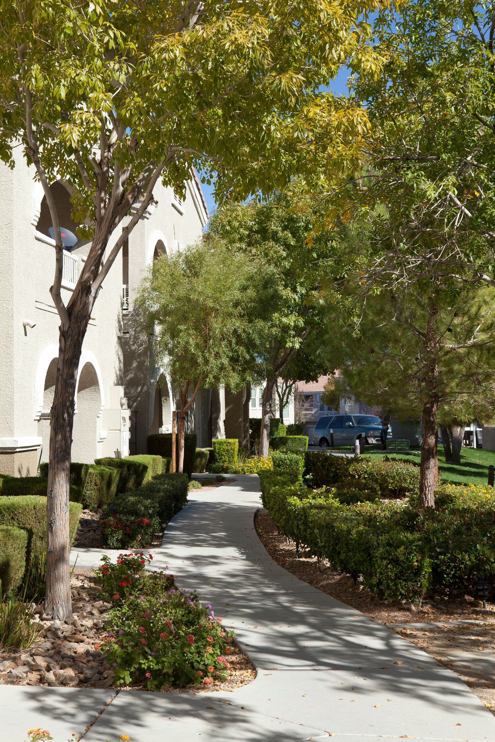 A sidewalk surrounded by trees and bushes in front of a building.