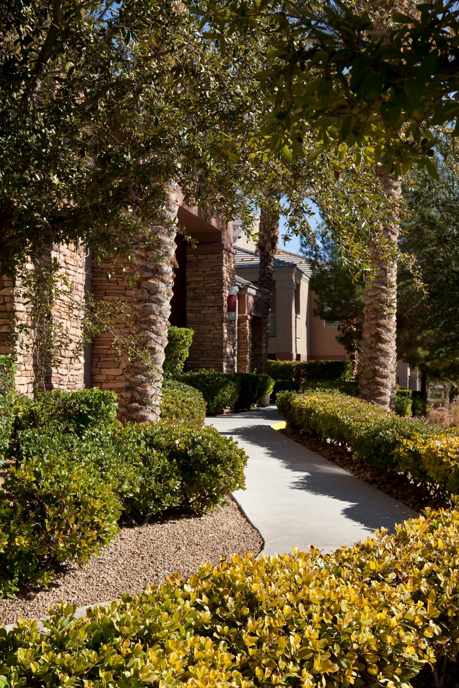 A walkway leading to a house surrounded by trees and bushes.