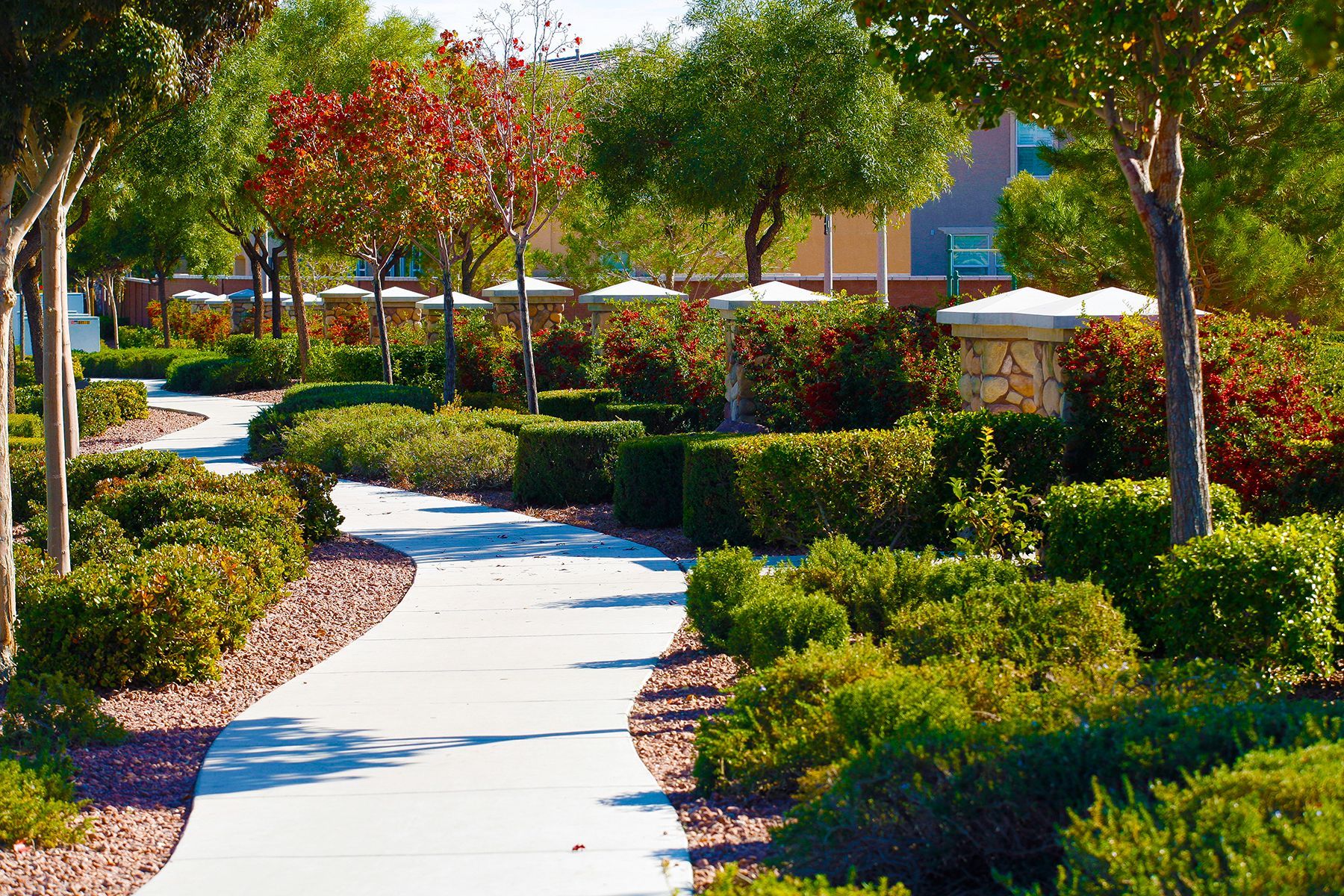 A concrete walkway surrounded by trees and bushes