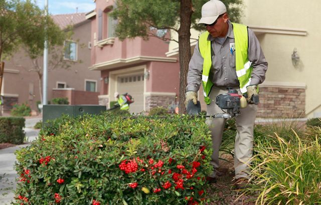 A man is cutting a bush with a hedge trimmer in front of a house.