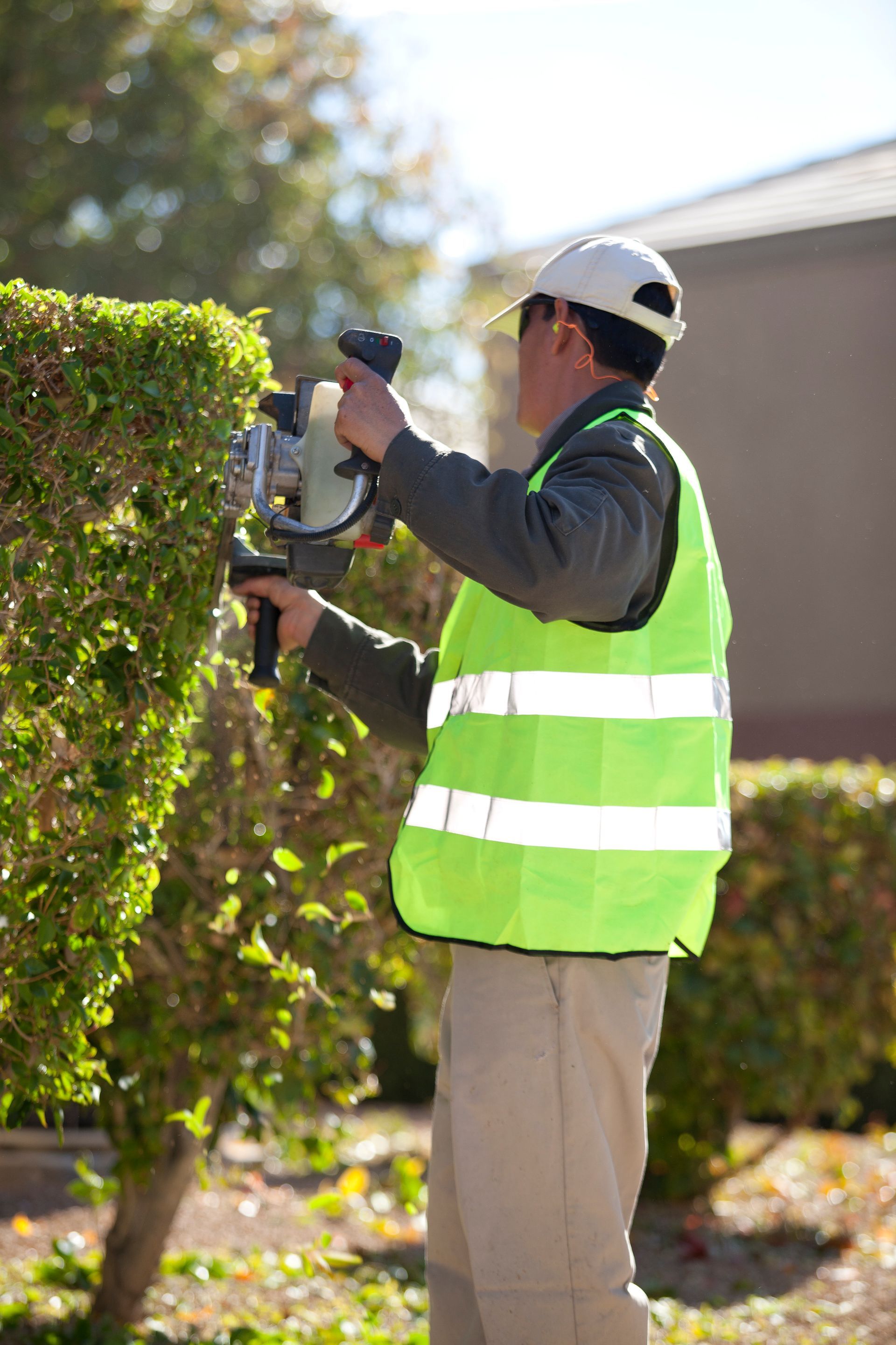 A man is cutting a hedge with a circular saw.
