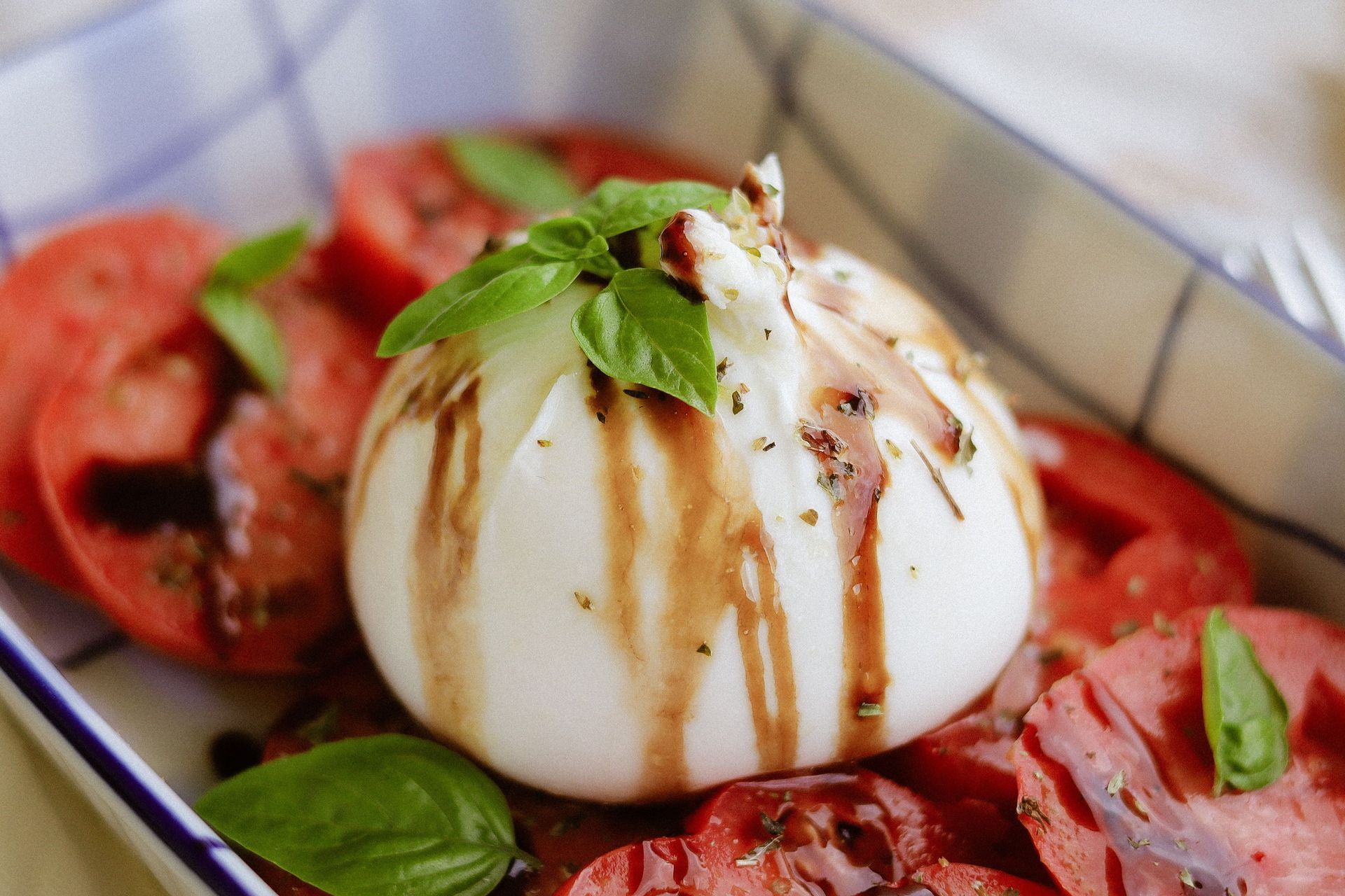 tomato burrata salad