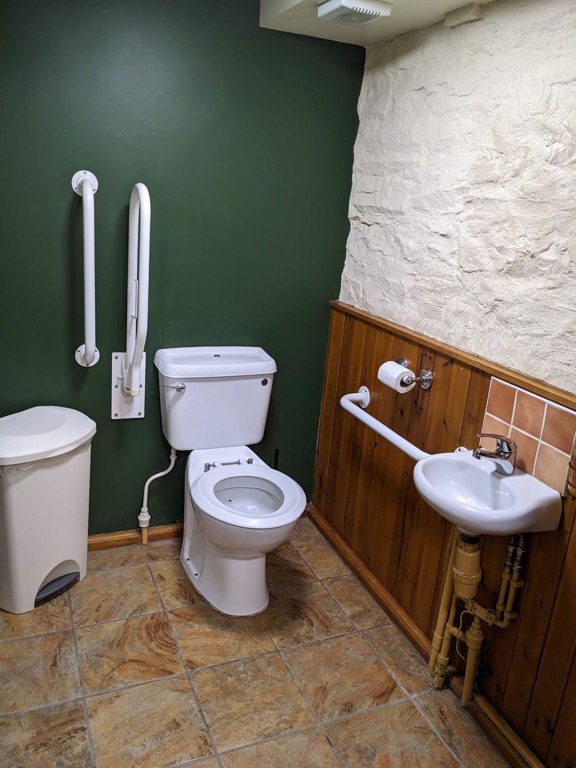 Toilet with safety rails and sink 