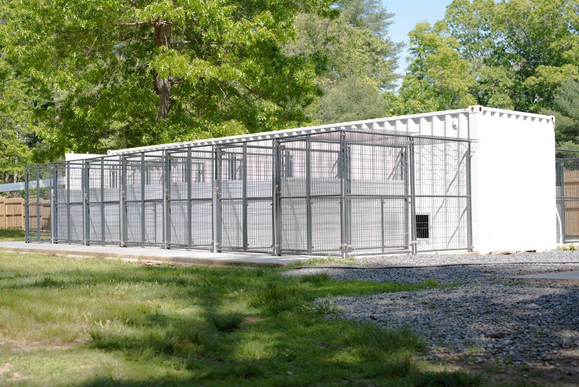 Dog Cage — Middleborough, MA — G-Force Kennels