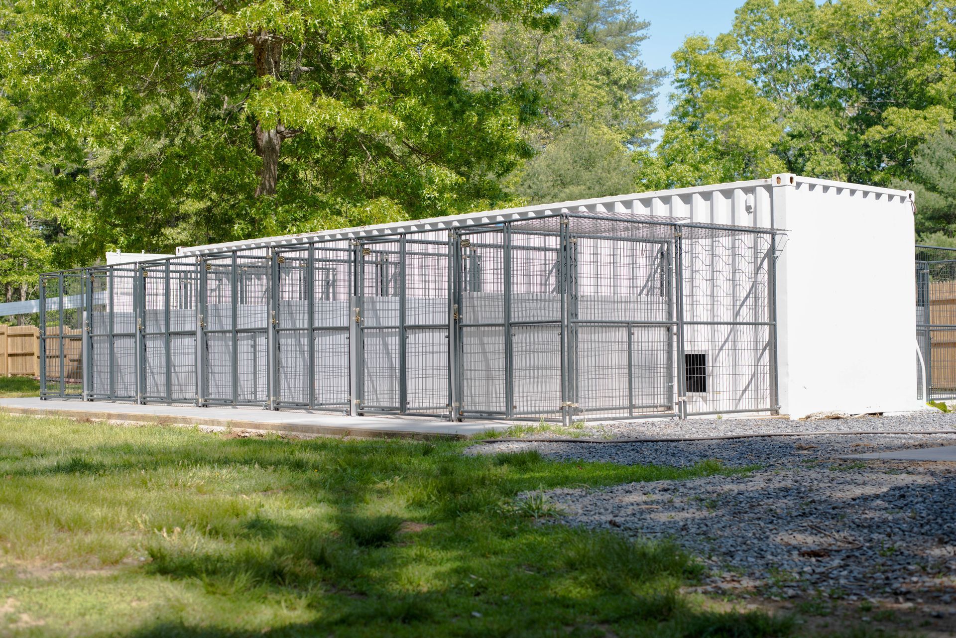 Steel Dog Cage — Middleborough, MA — G-Force Kennels