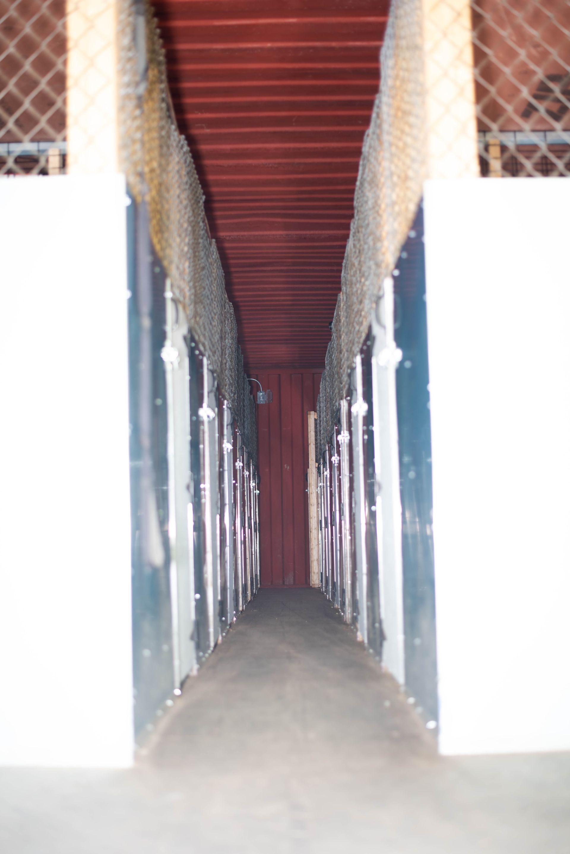 Small Path — Middleborough, MA — G-Force Kennels