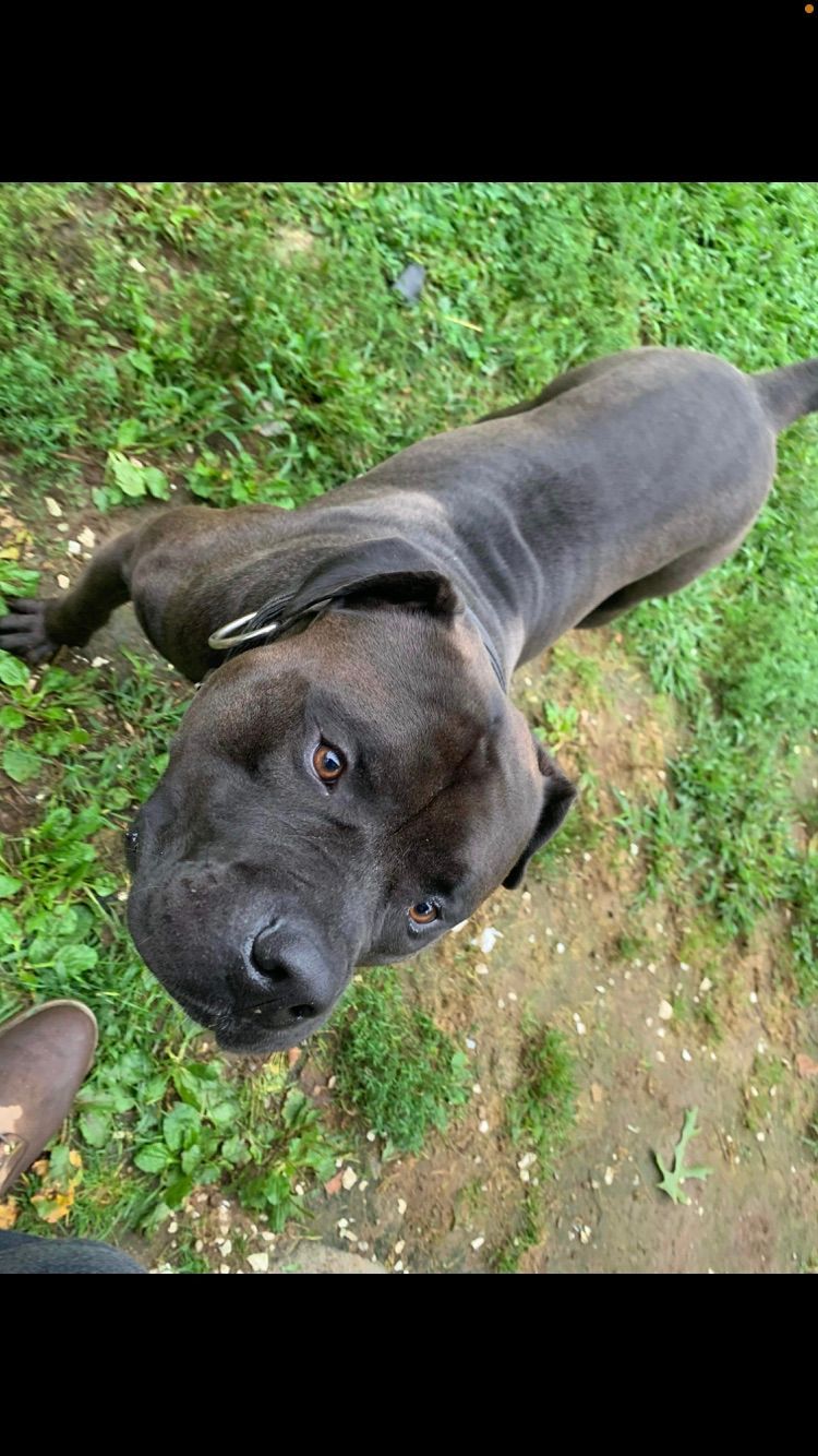 Titus - Massachusetts -MA 02346