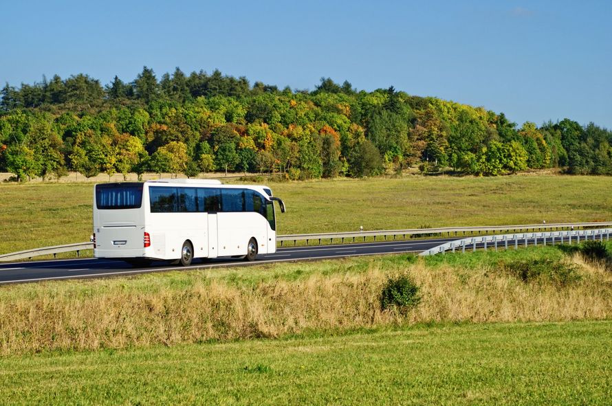 Un autobus bianco percorre una strada che attraversa un paesaggio erboso e soleggiato, con una collina boscosa sullo sfondo.