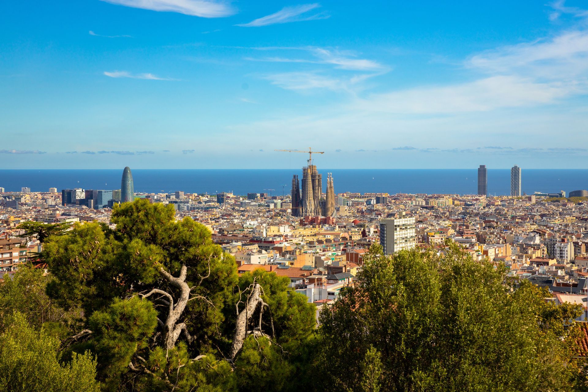 Veduta panoramica della Sagrada Família e dello skyline di Barcellona sotto un cielo azzurro brillante, incorniciata dagli alberi in primo piano.