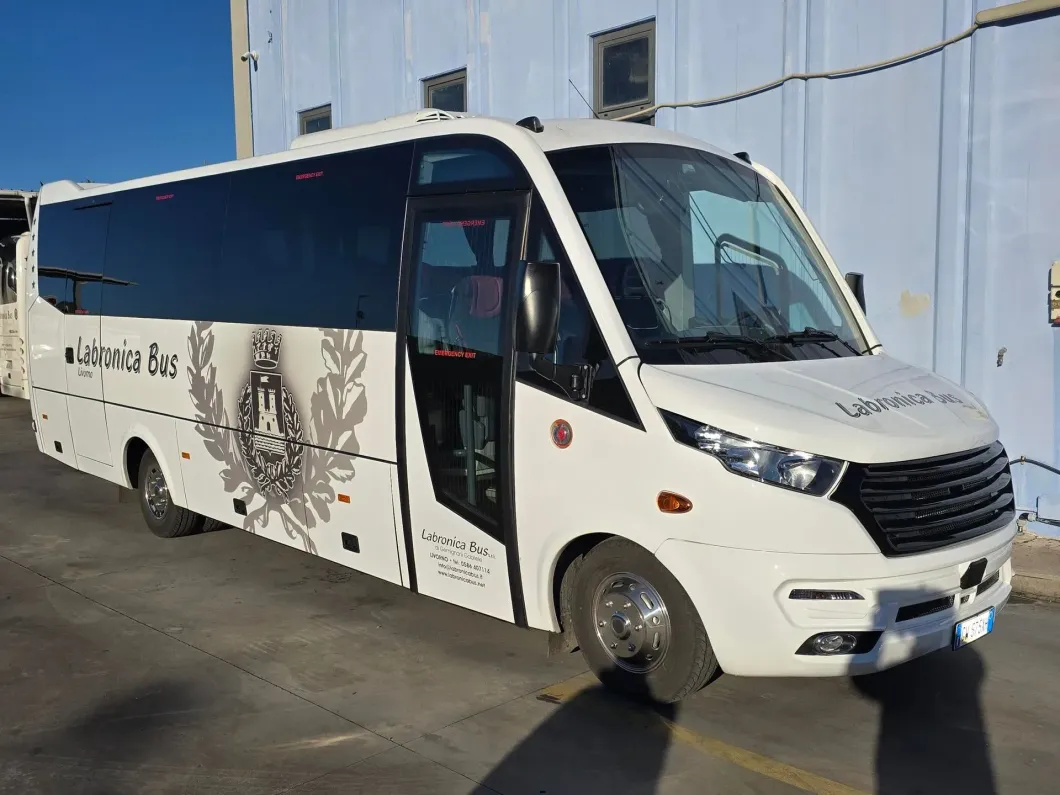 Un minibus bianco con vetri oscurati, parcheggiato sul marciapiede di fronte a un edificio azzurro.