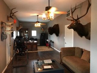 A living room with a couch , coffee table , ceiling fan and two deer heads on the wall.